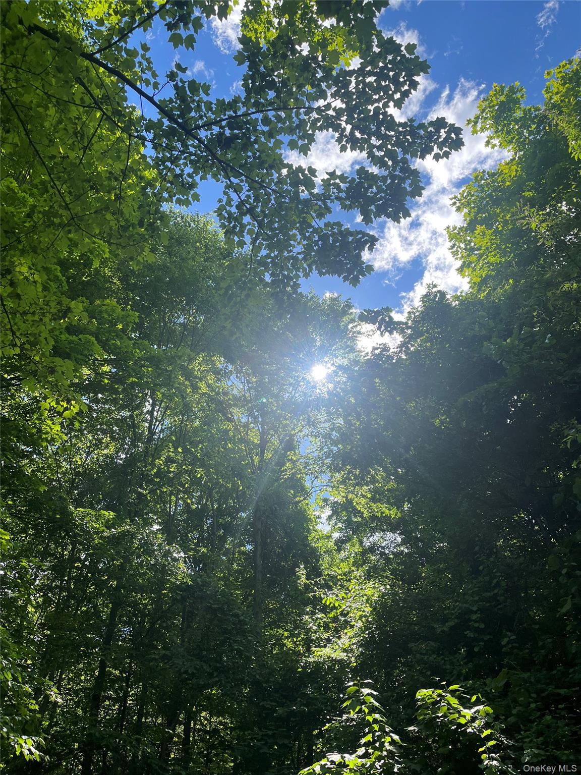 Old Church Road – For Sale