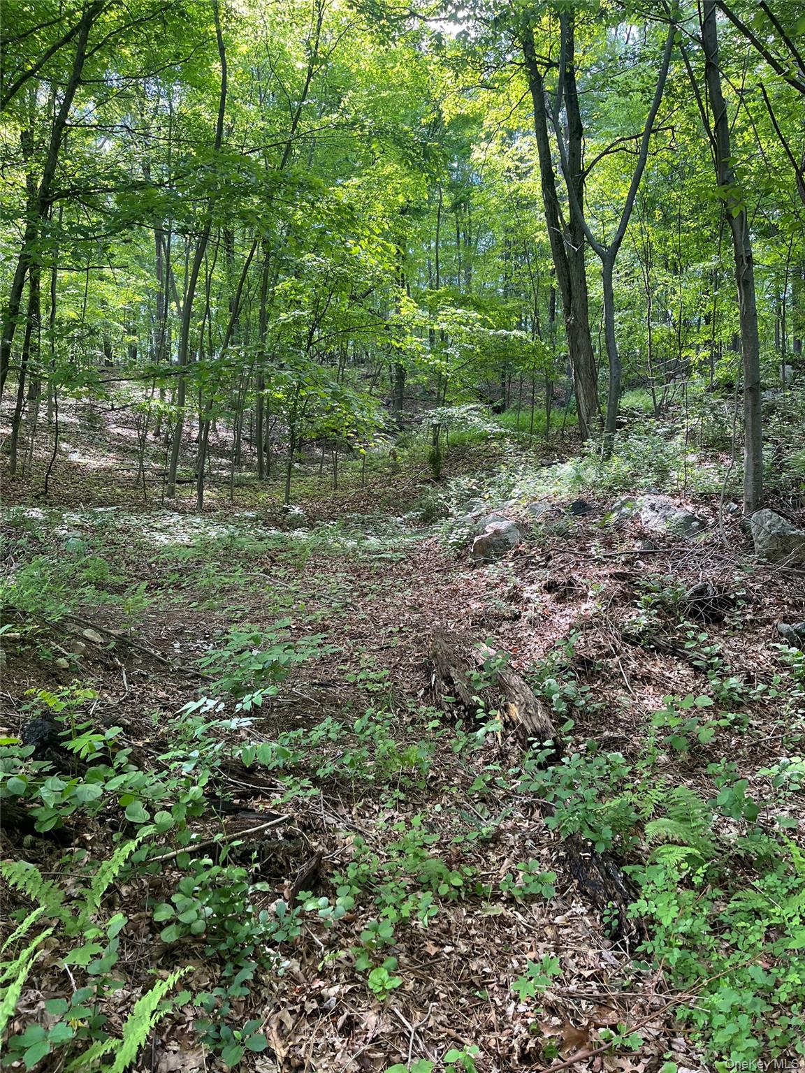 Old Church Road – For Sale photo 14