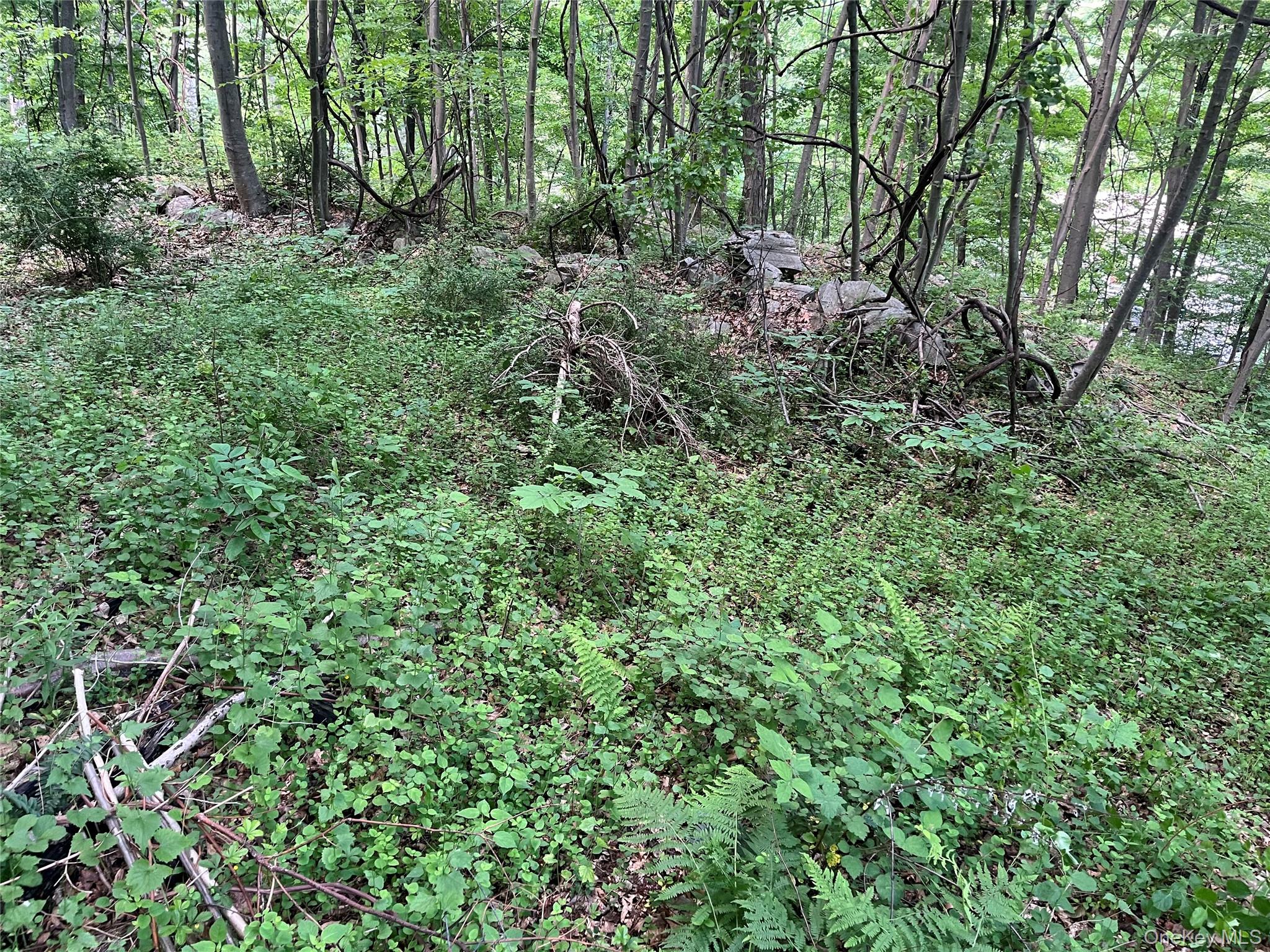 Old Church Road – For Sale photo 22