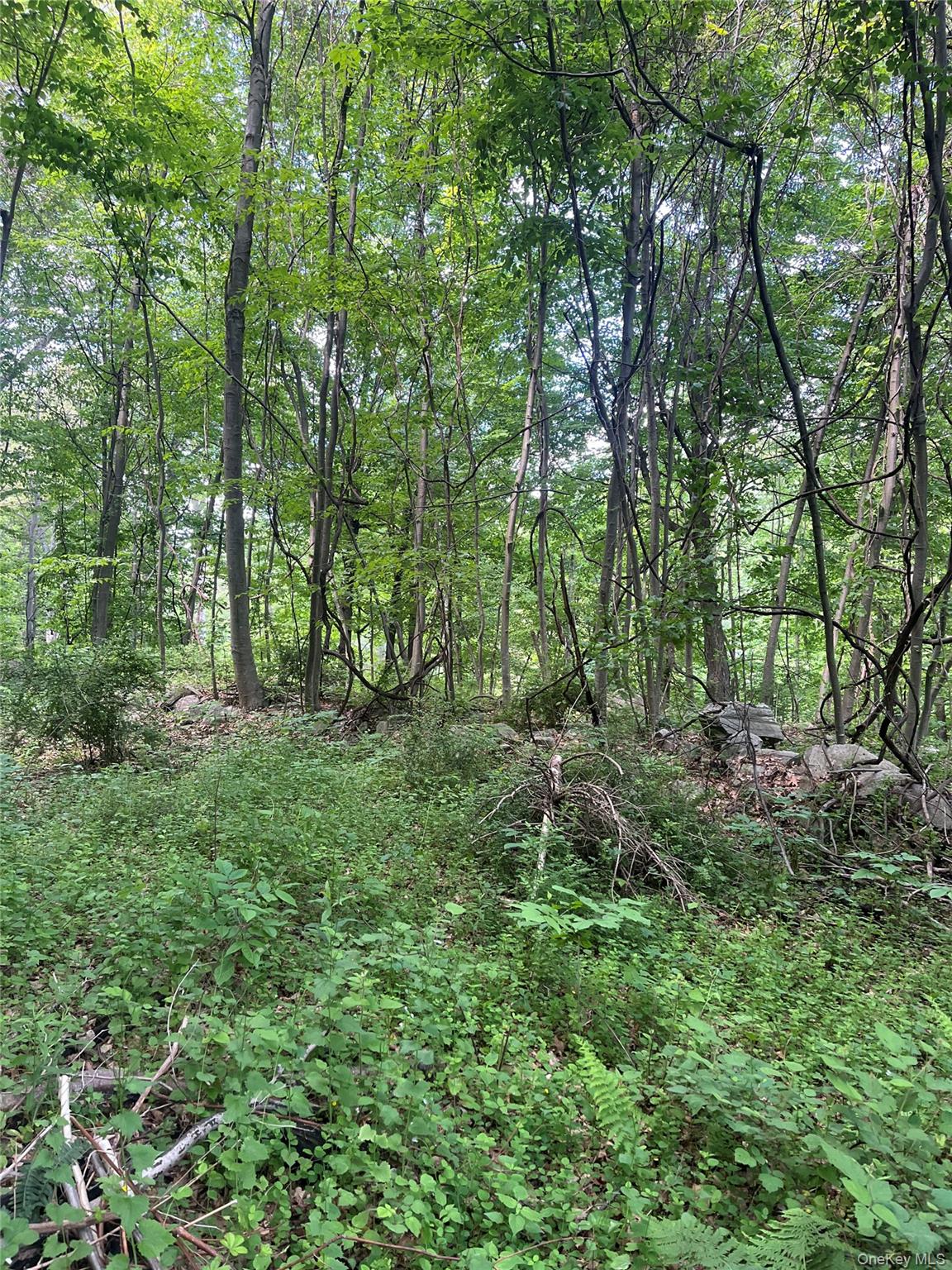 Old Church Road – For Sale photo 18