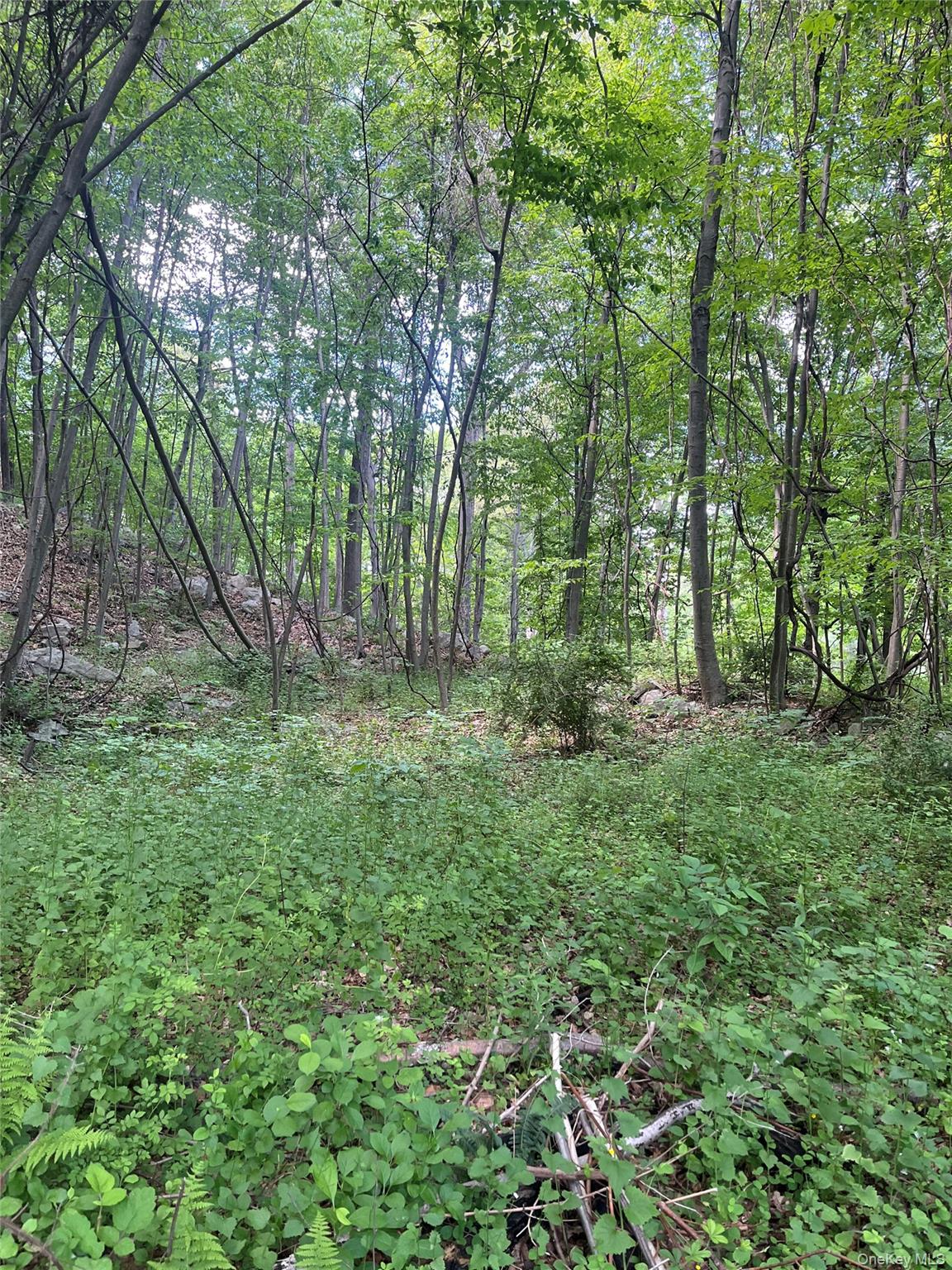 Old Church Road – For Sale photo 17