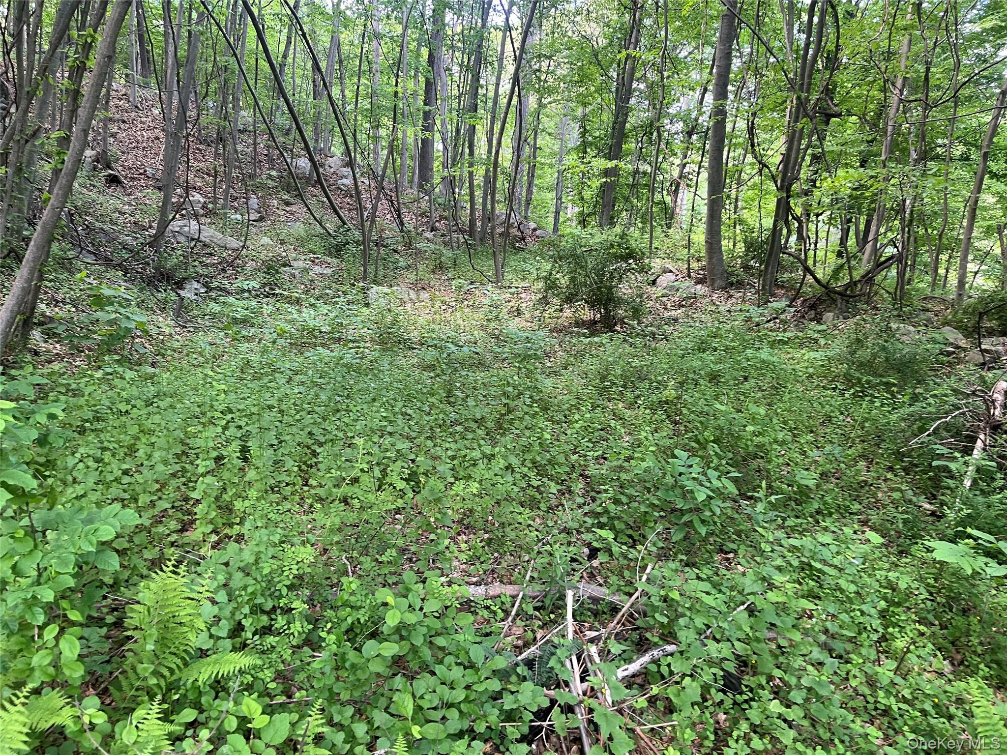 Old Church Road – For Sale photo 20