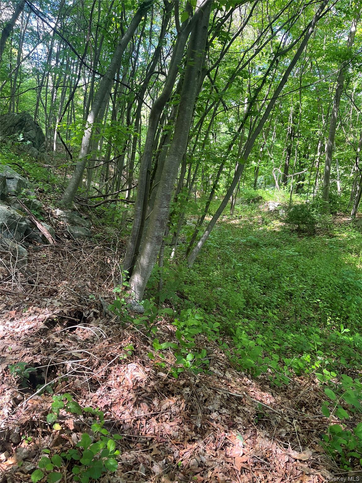 Old Church Road – For Sale photo 9