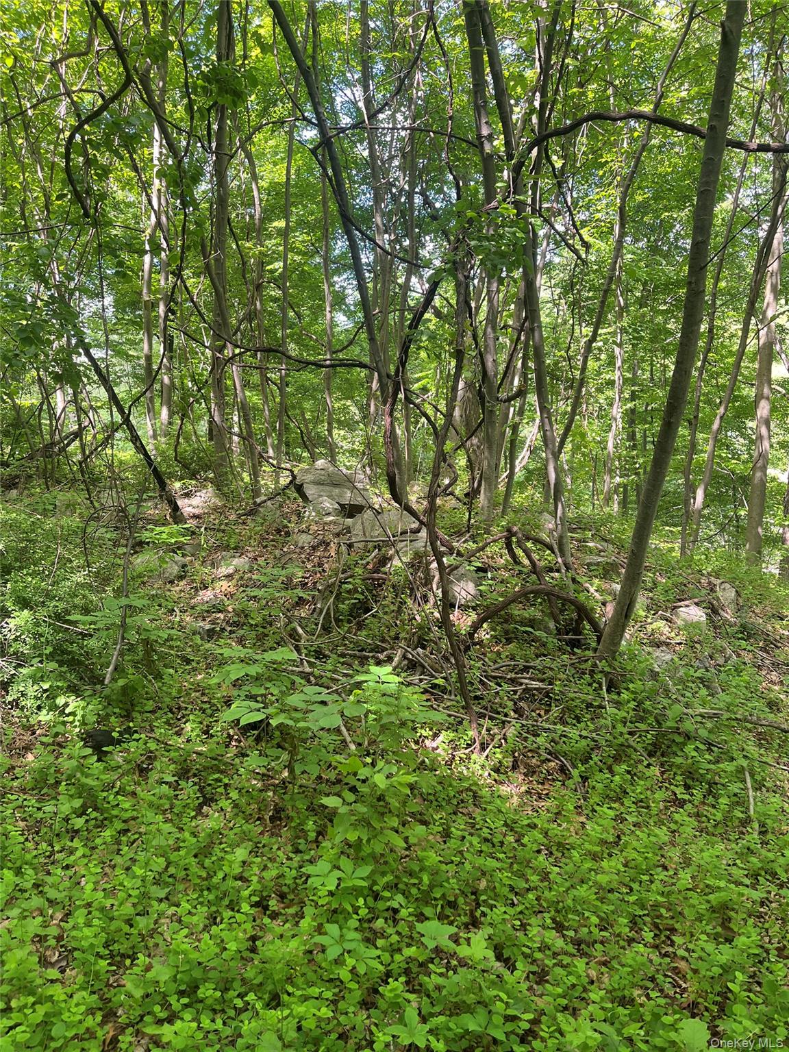 Old Church Road – For Sale photo 6