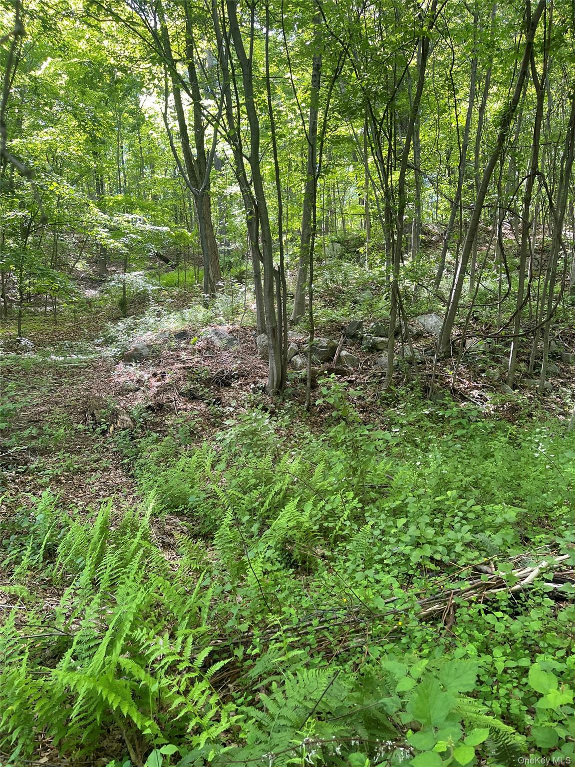 Old Church Road – For Sale photo 8