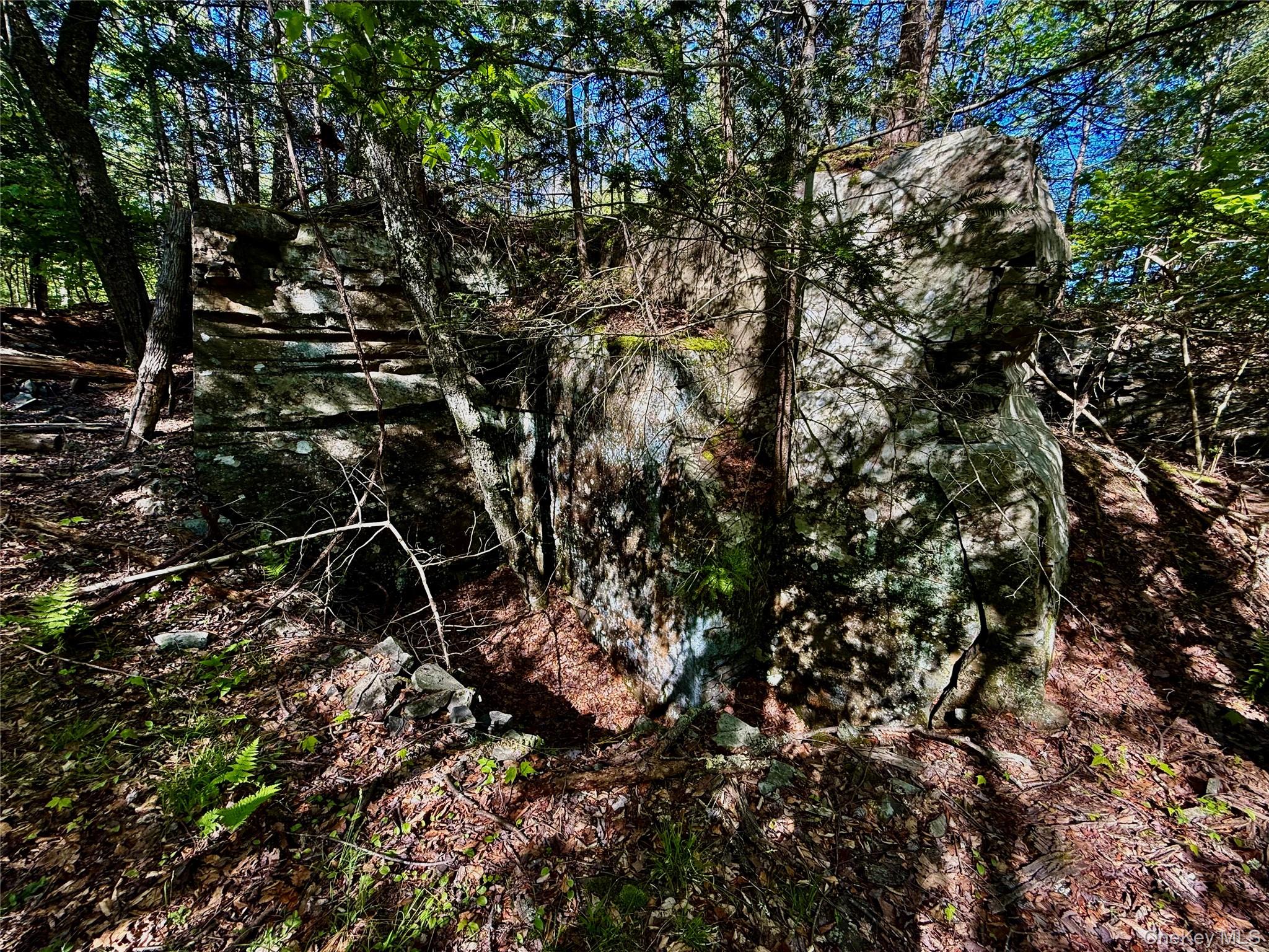 101 Stone Road – For Sale photo 20