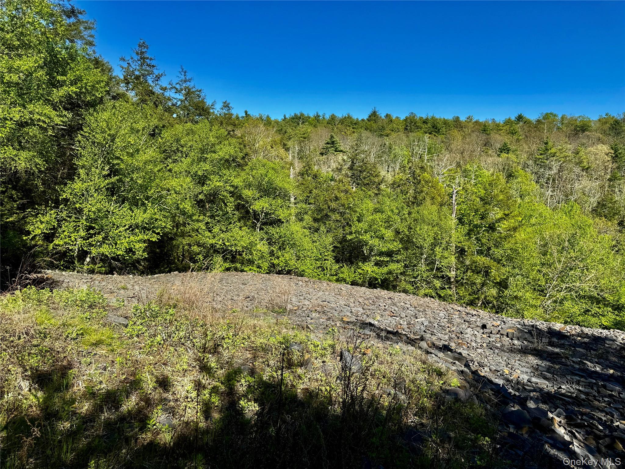 101 Stone Road – For Sale photo 2