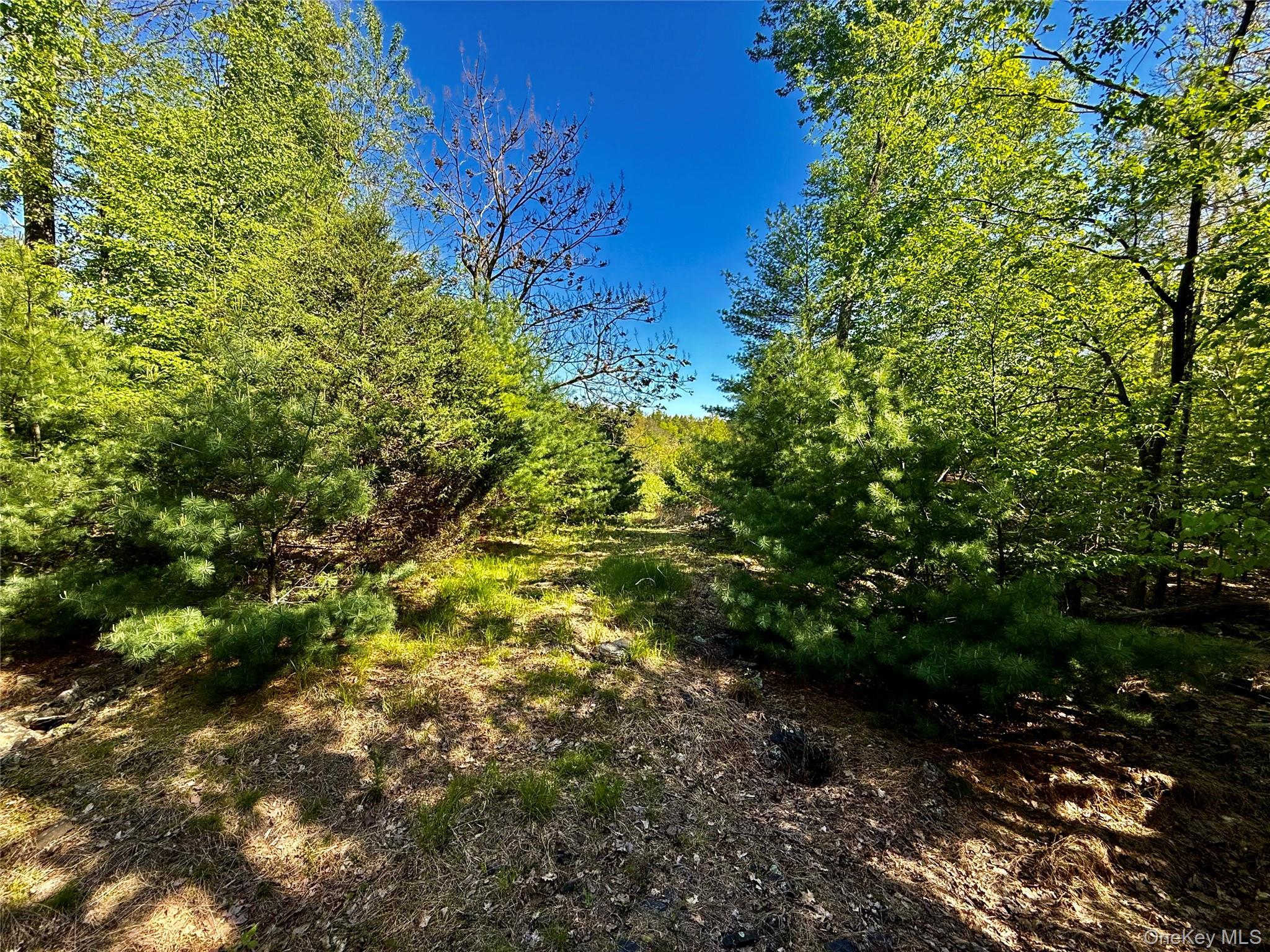 101 Stone Road – For Sale photo 6