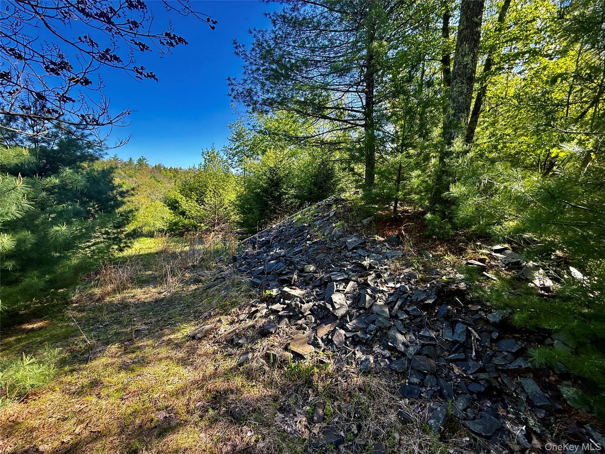 101 Stone Road – For Sale photo 5