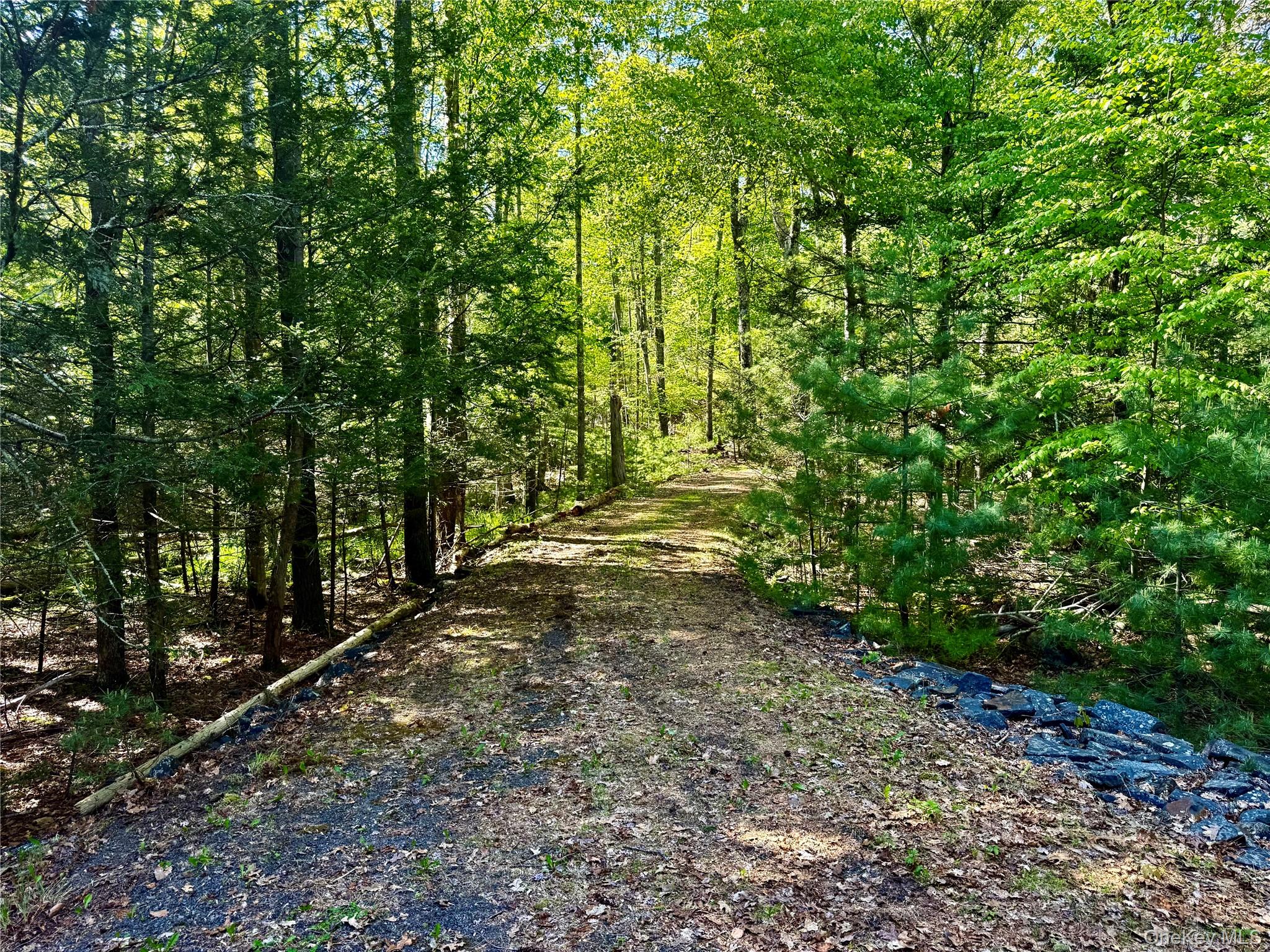 101 Stone Road – For Sale photo 12