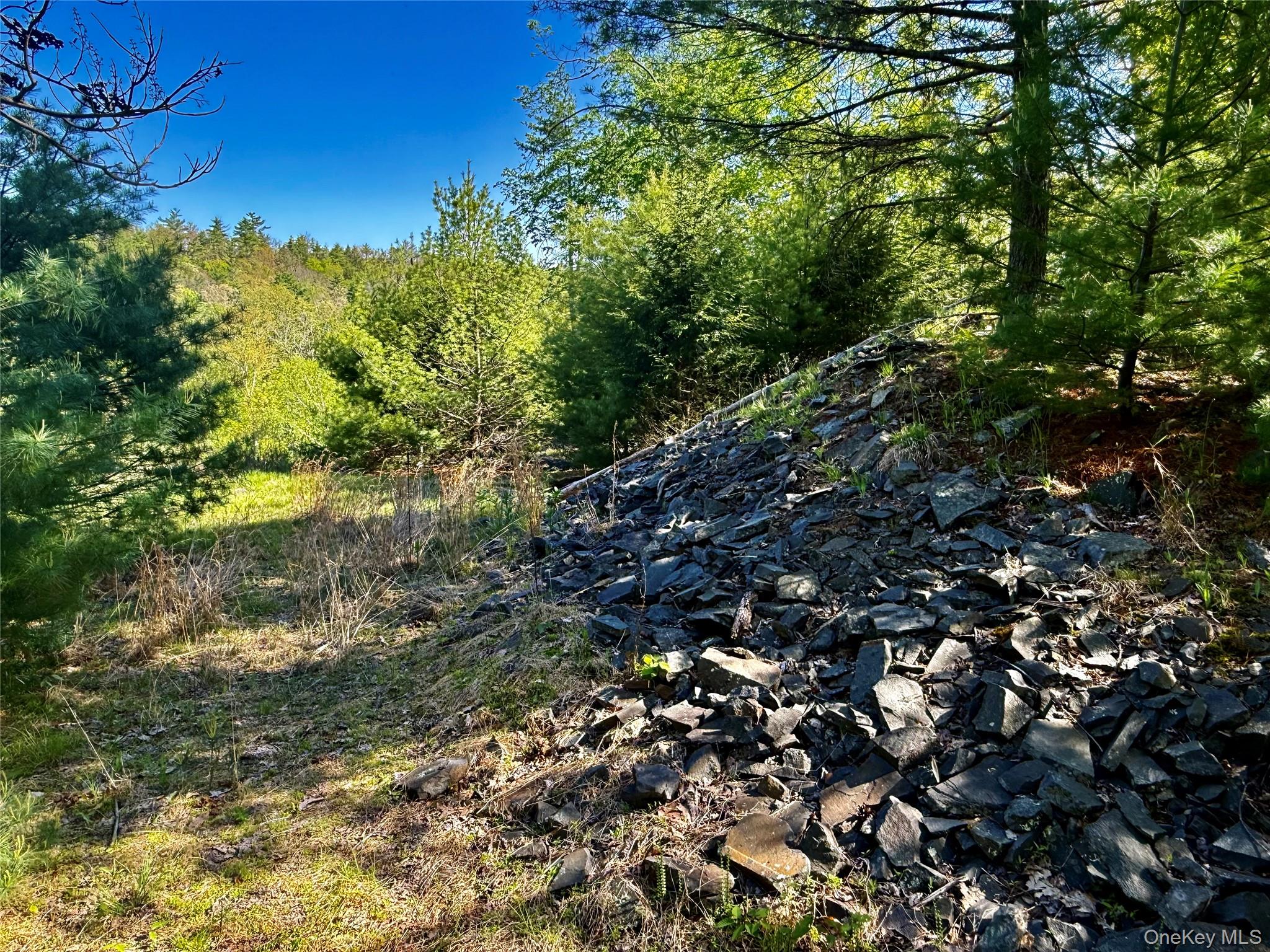 101 Stone Road – For Sale photo 4