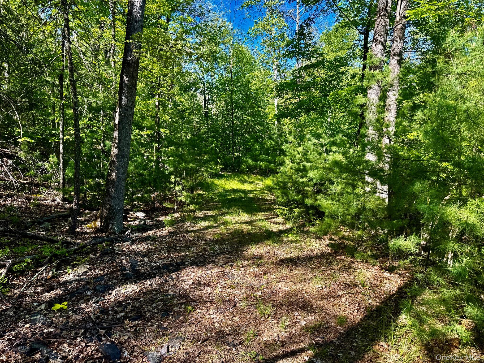 101 Stone Road – For Sale photo 14