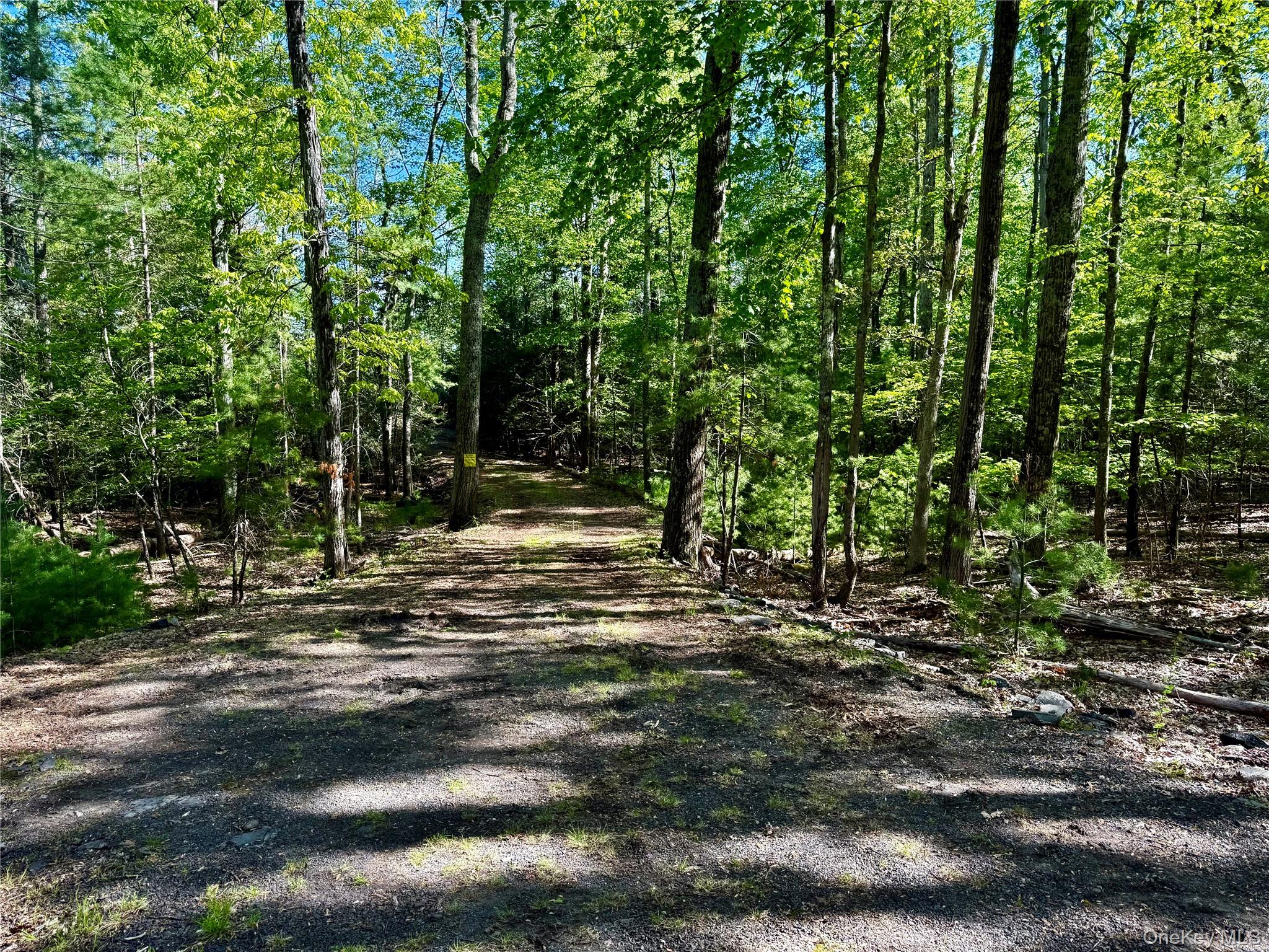 101 Stone Road – For Sale photo 10