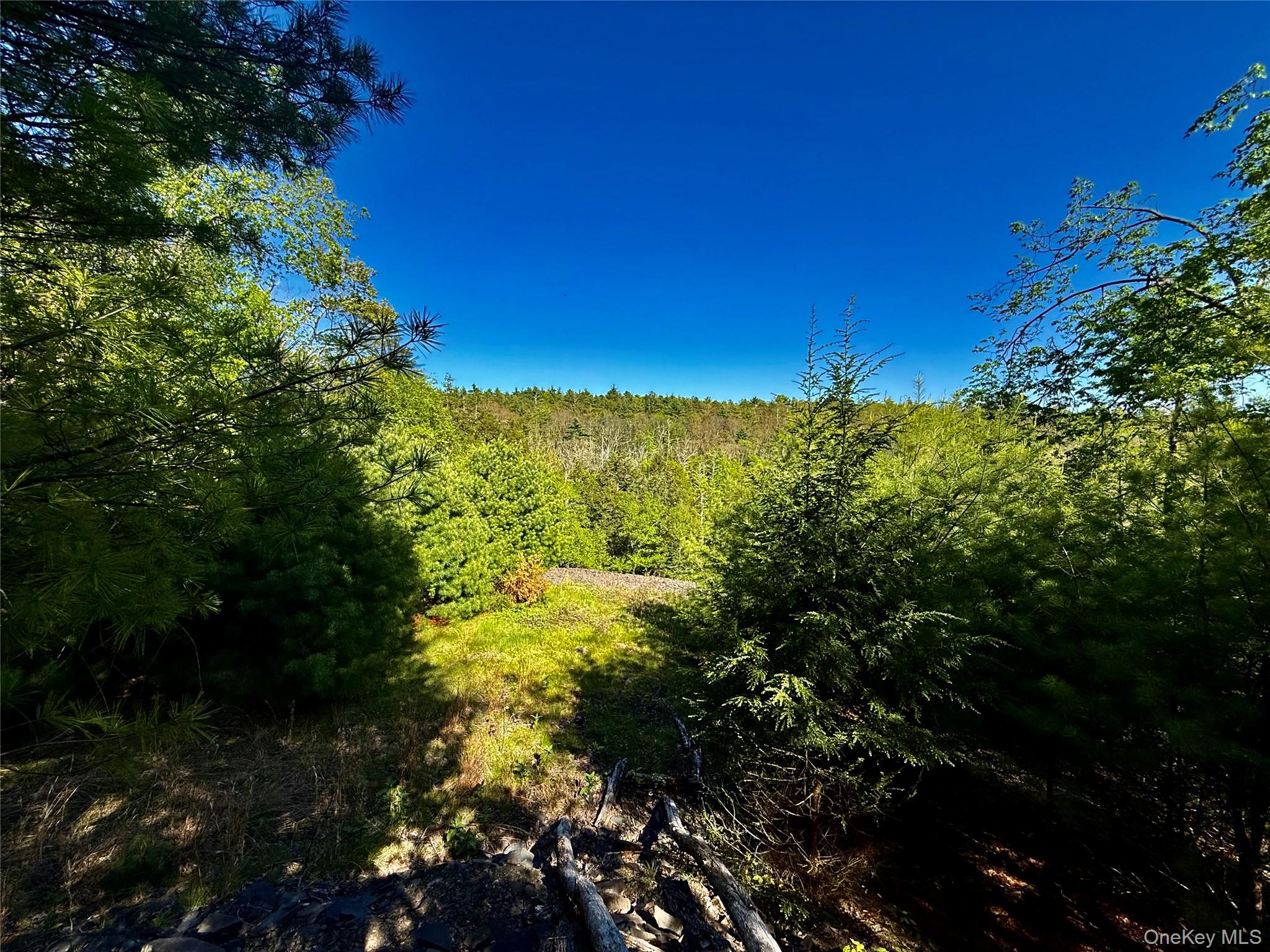 101 Stone Road – For Sale photo 3