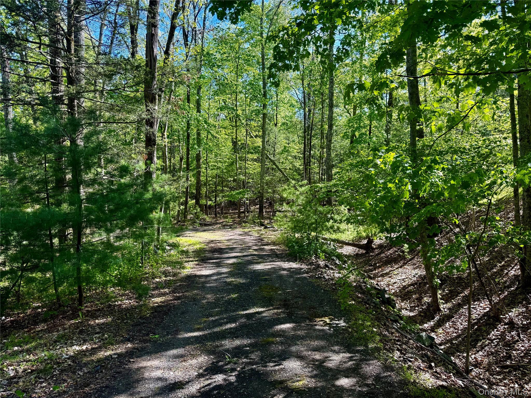 101 Stone Road – For Sale photo 8