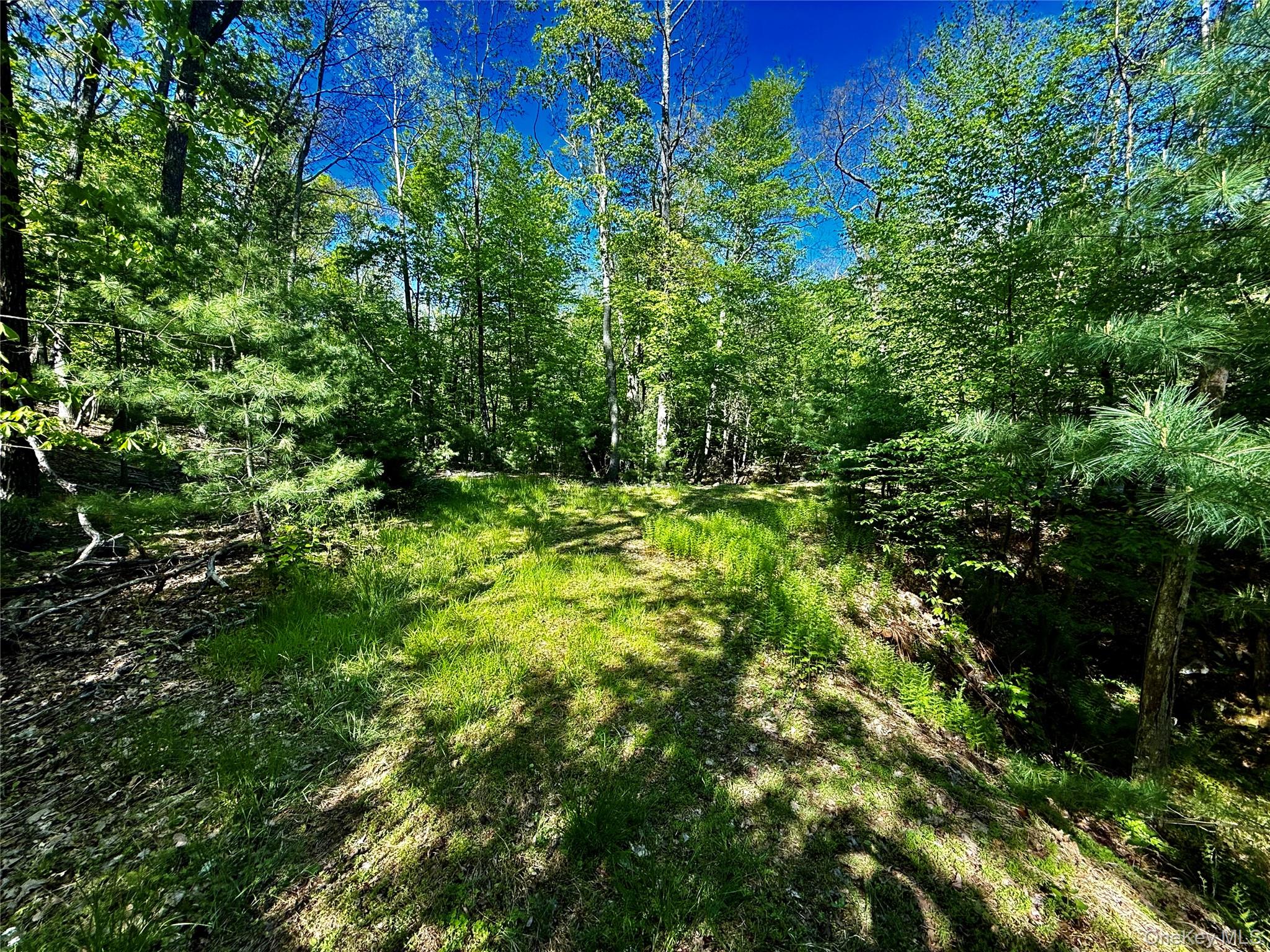 101 Stone Road – For Sale photo 15