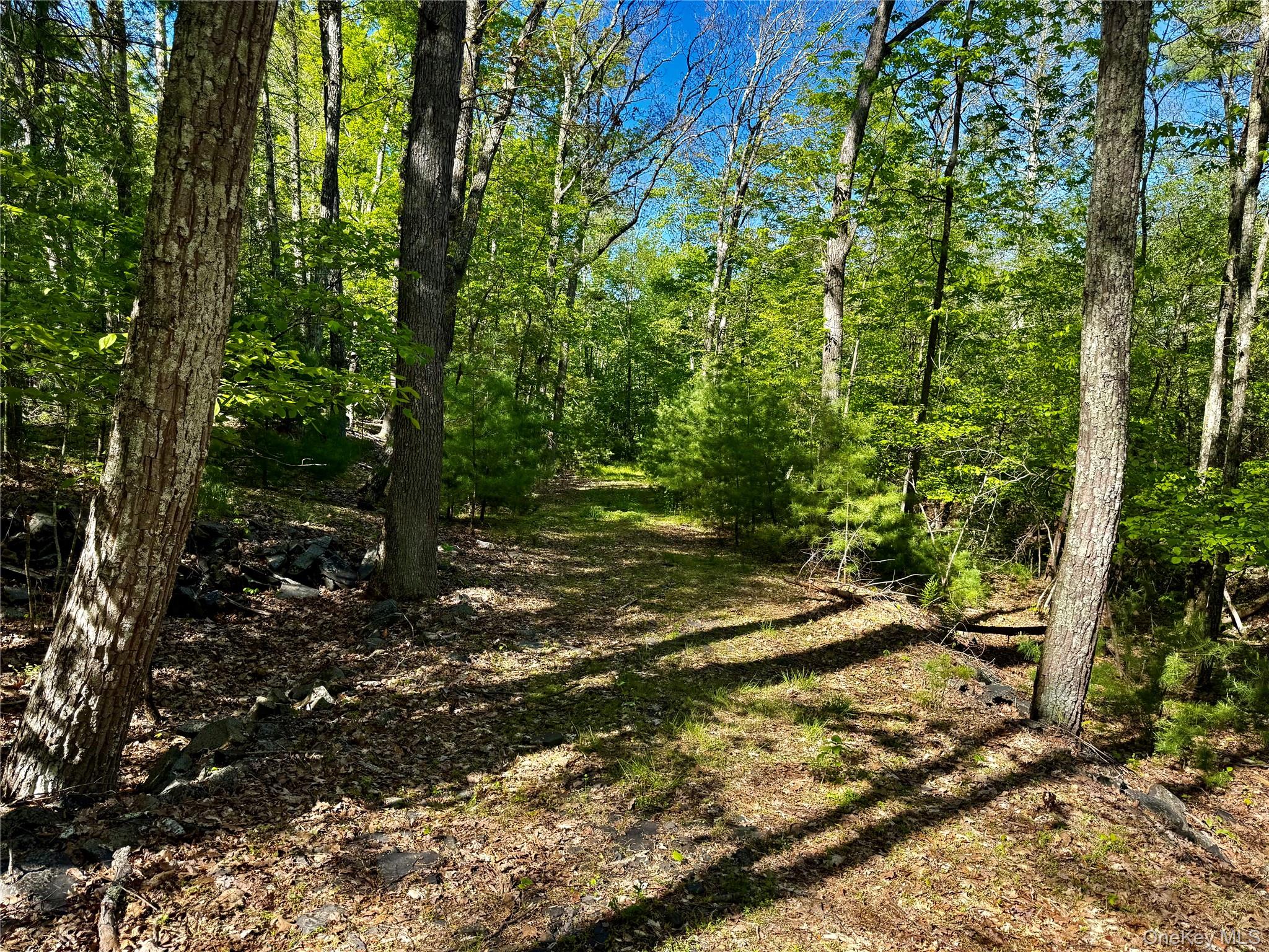 101 Stone Road – For Sale photo 13