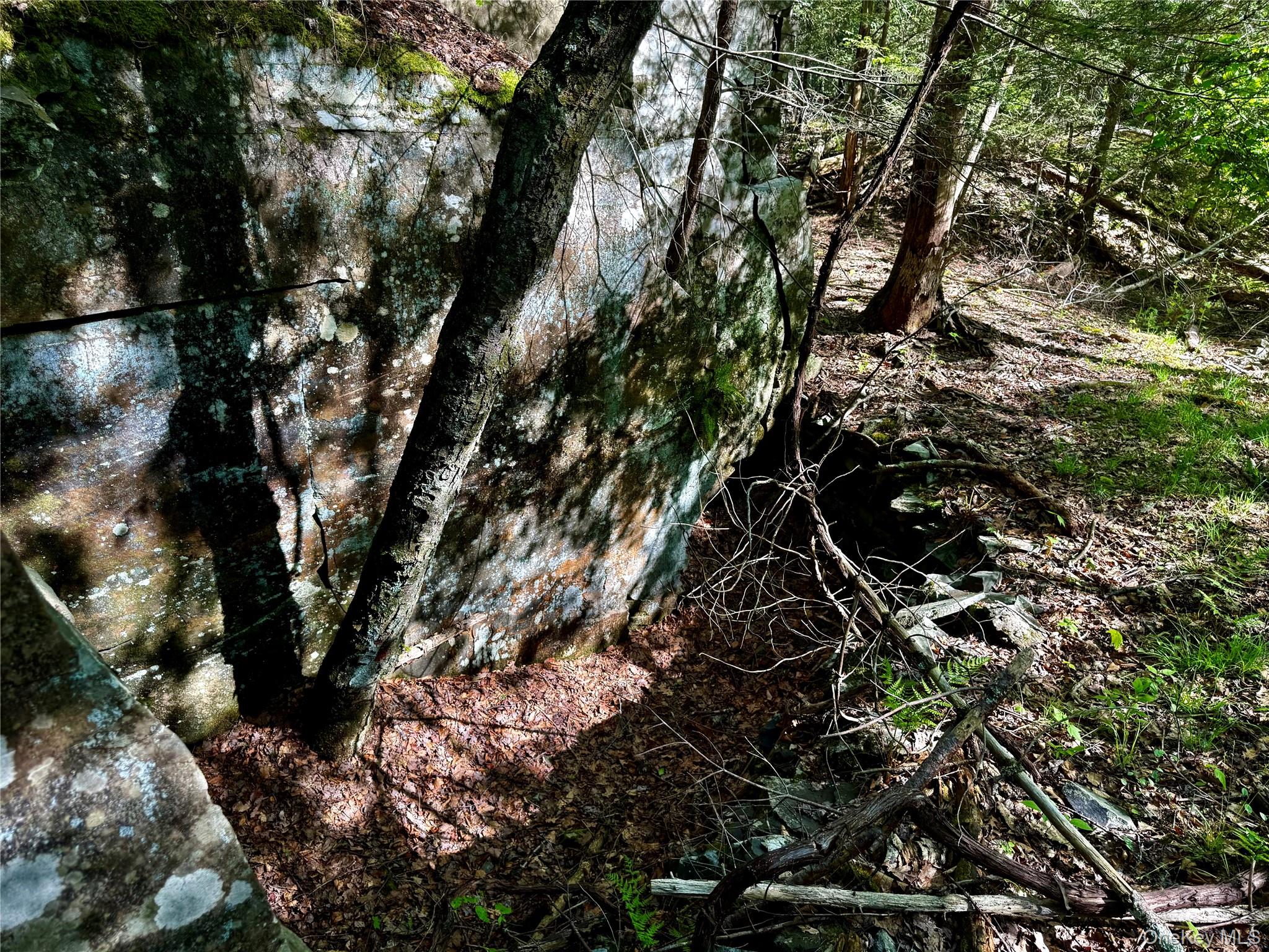 101 Stone Road – For Sale photo 19