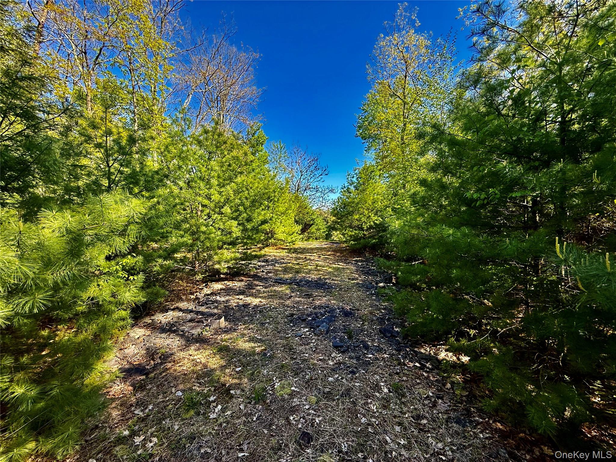 101 Stone Road – For Sale photo 17