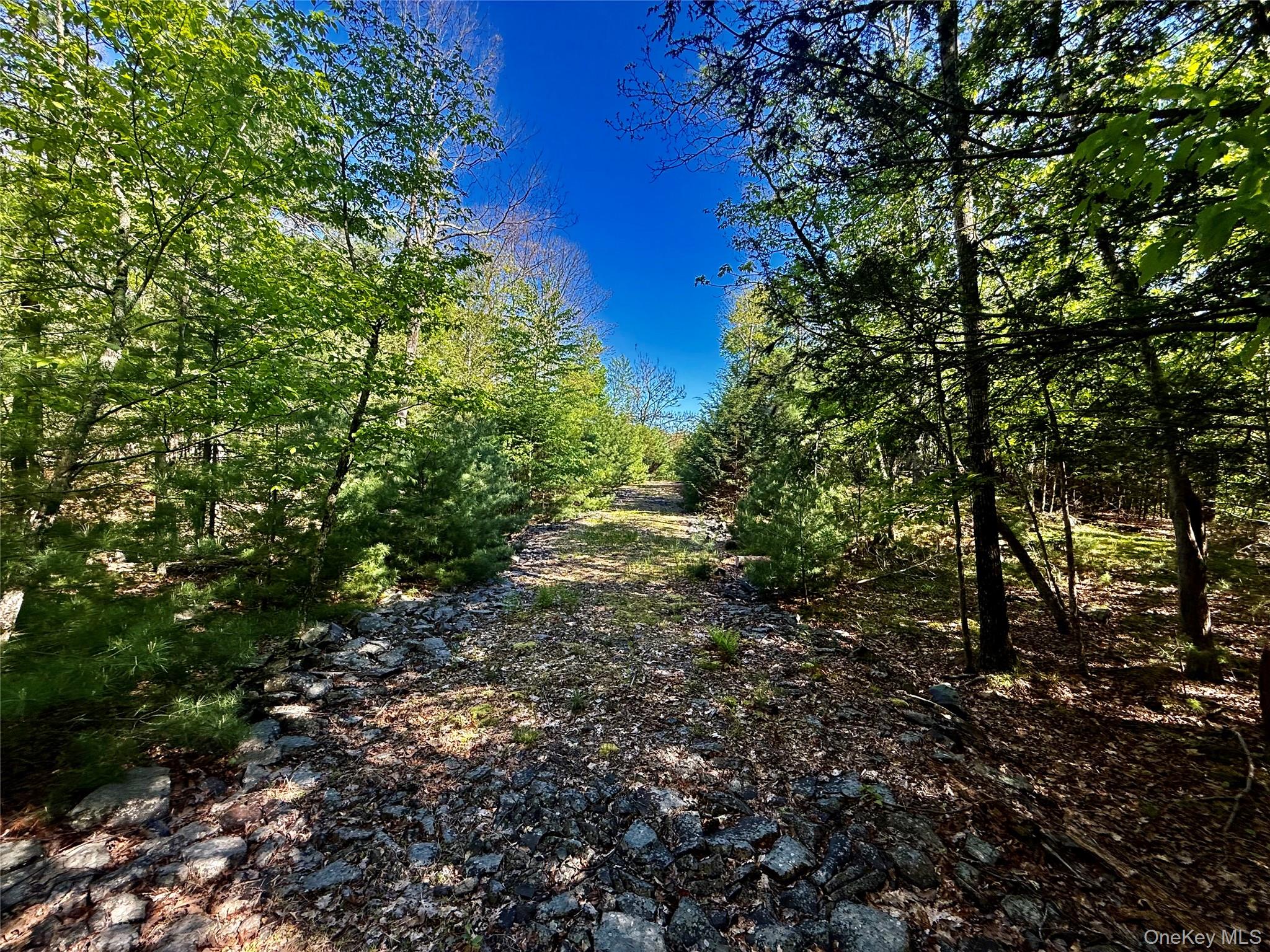 101 Stone Road – For Sale photo 16
