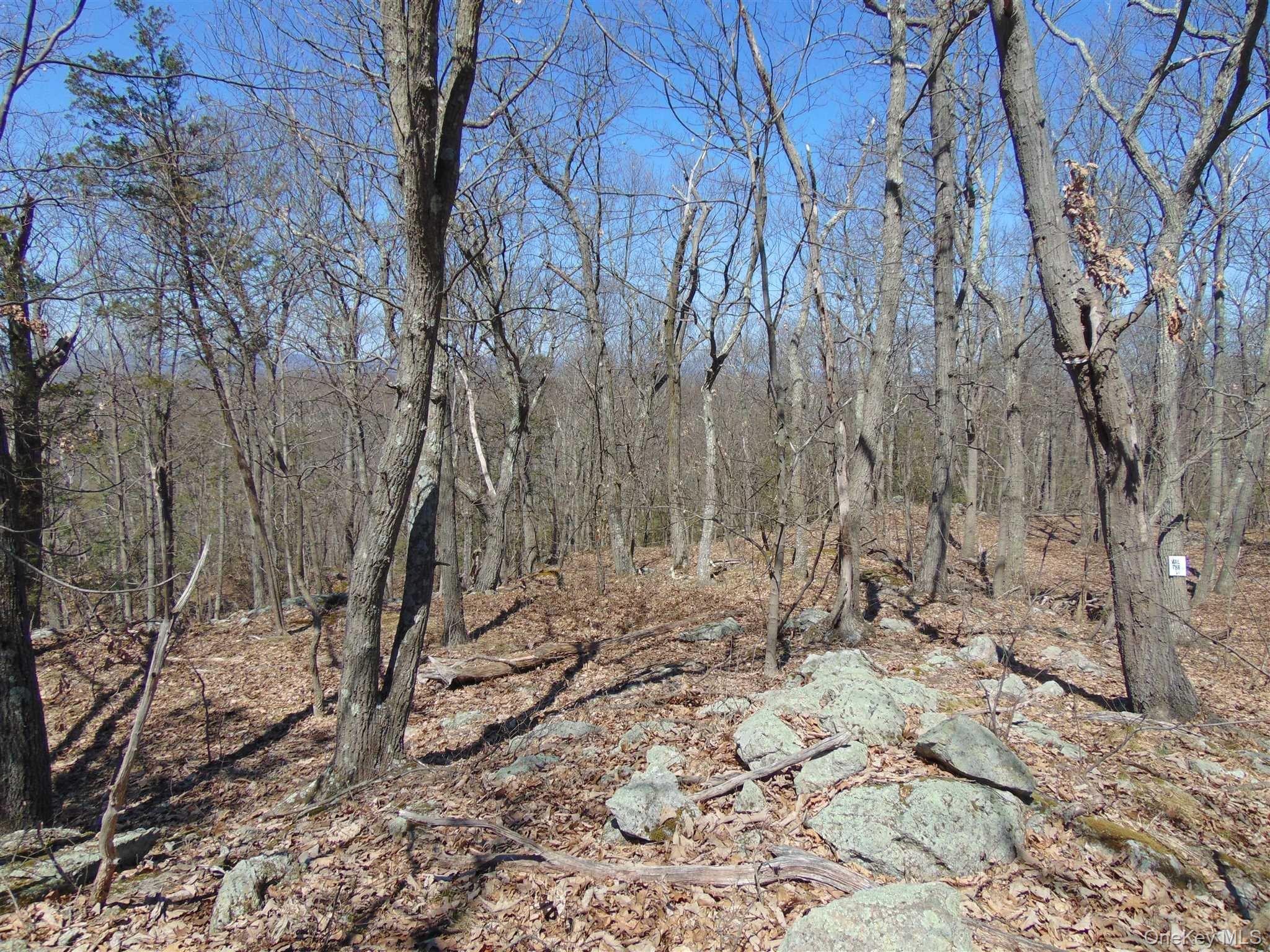 382 Cedar Hill Road – For Sale photo 12