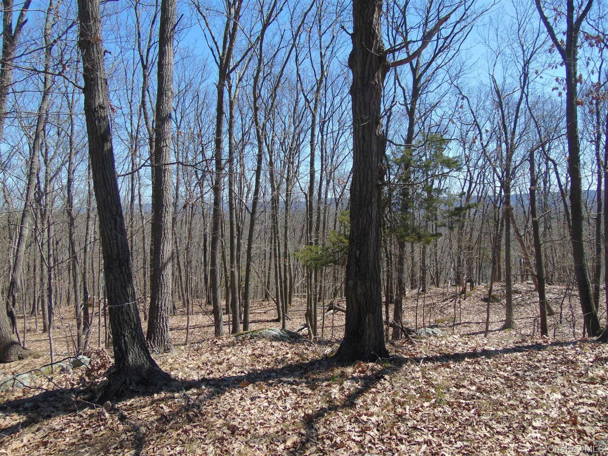 382 Cedar Hill Road – For Sale photo 16