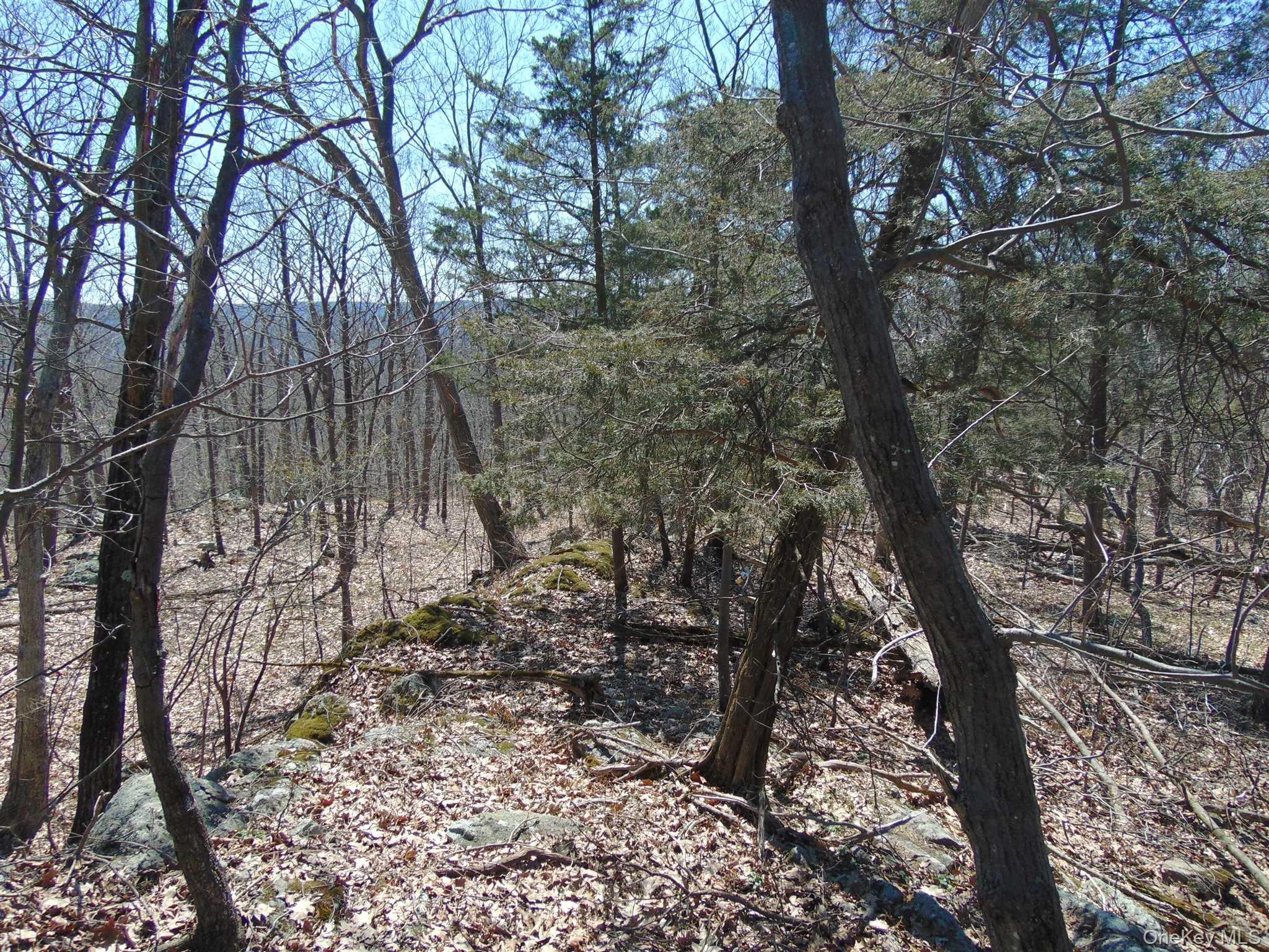 382 Cedar Hill Road – For Sale photo 21