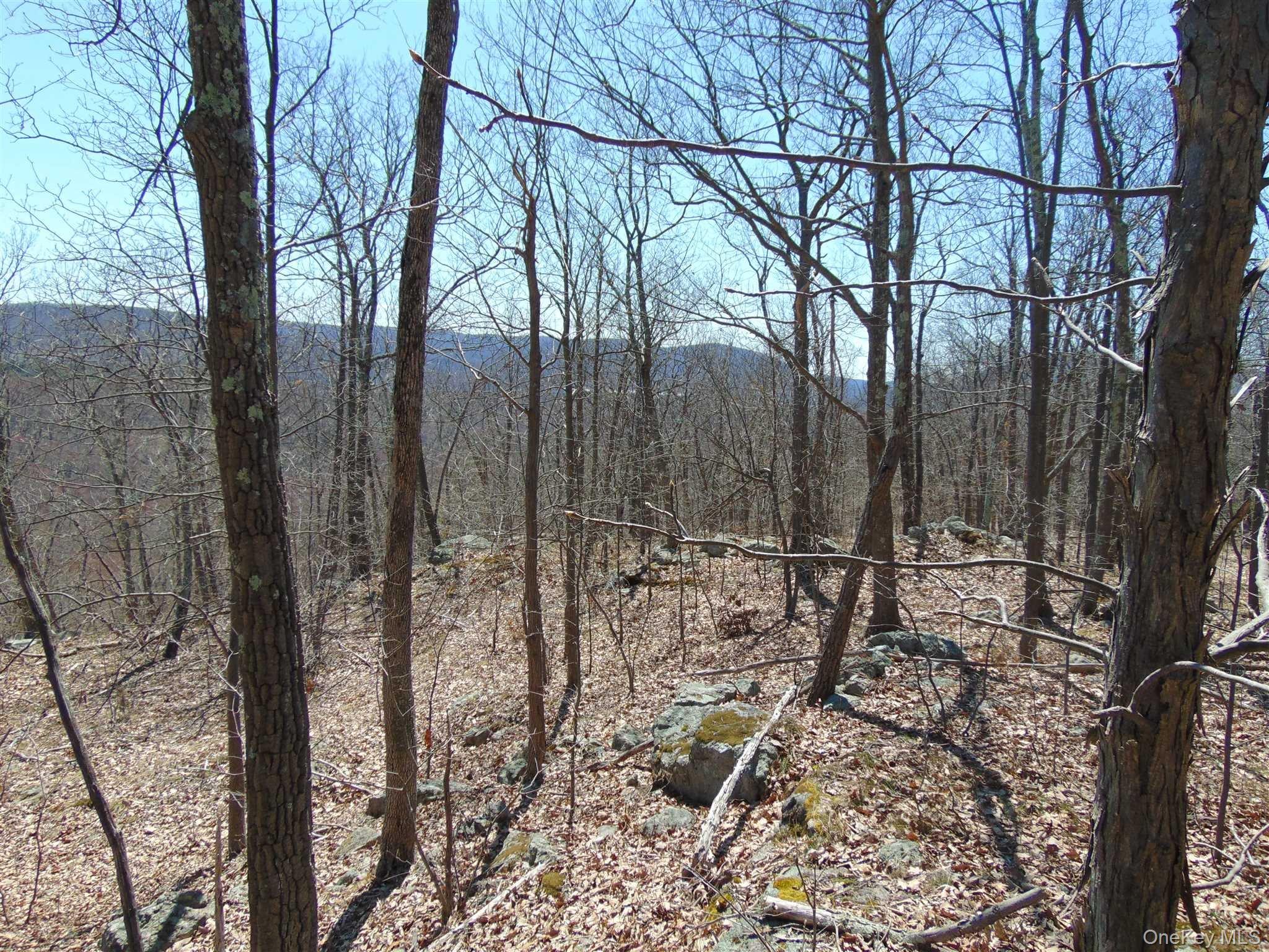 382 Cedar Hill Road – For Sale photo 7