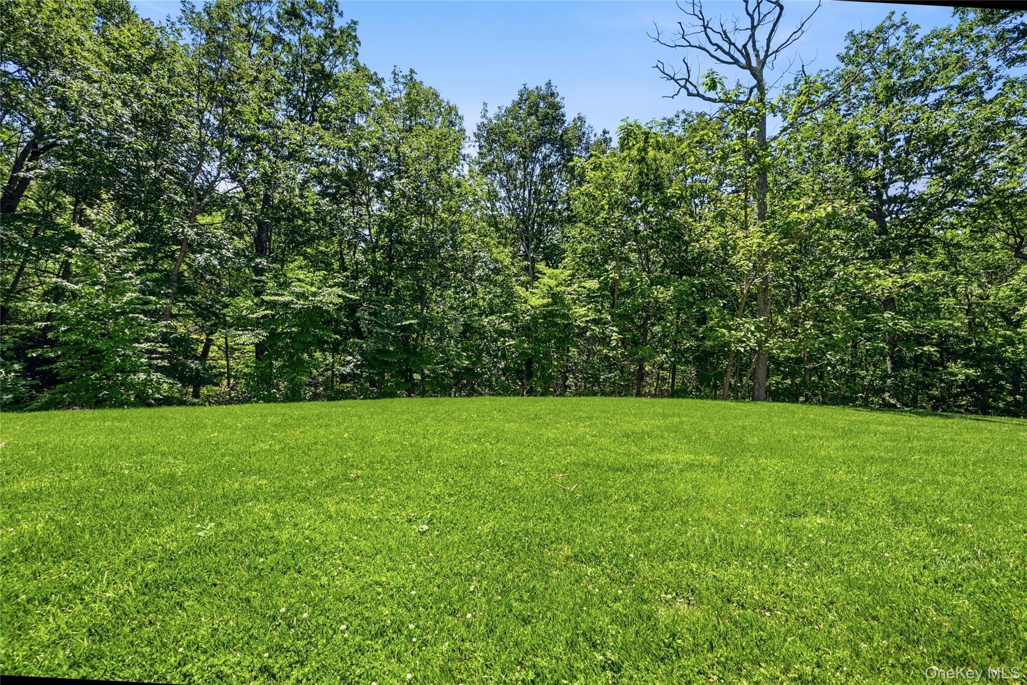 1330 Ridge Road – For Sale photo 43