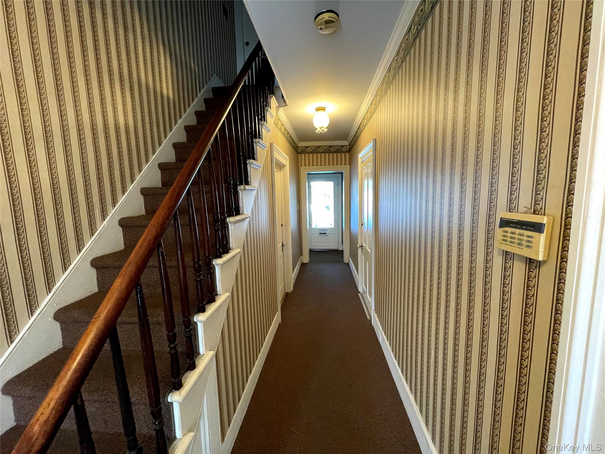 903 Main Street, Unit 203 photo 4