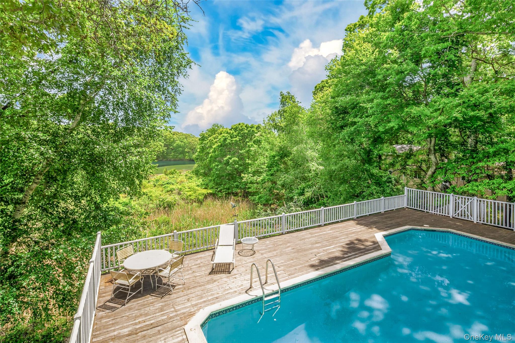 4 Irene Lane – For Sale photo 30