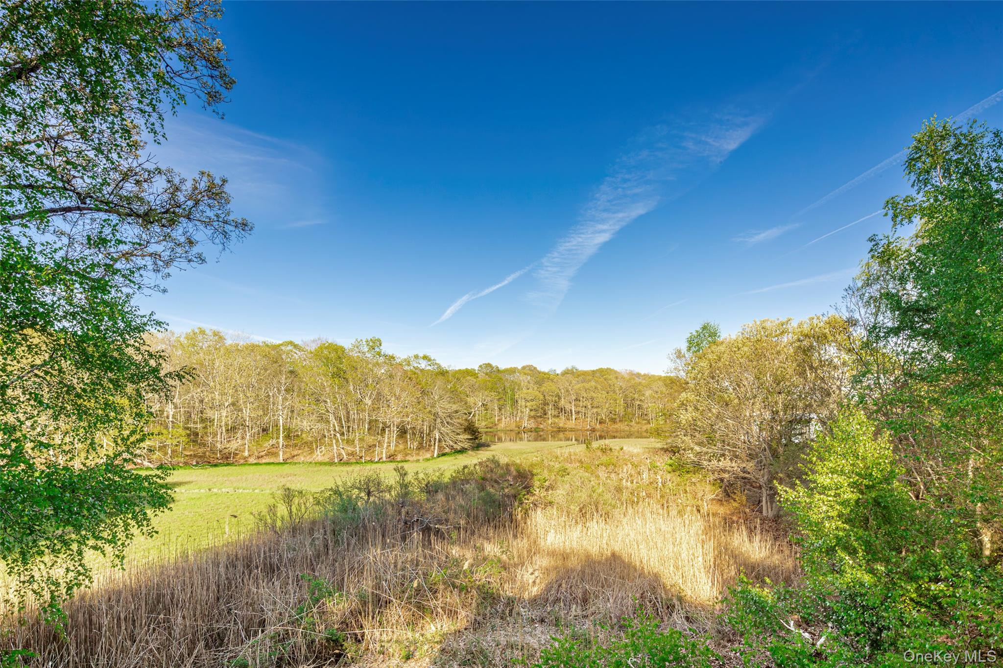 4 Irene Lane – For Sale photo 32