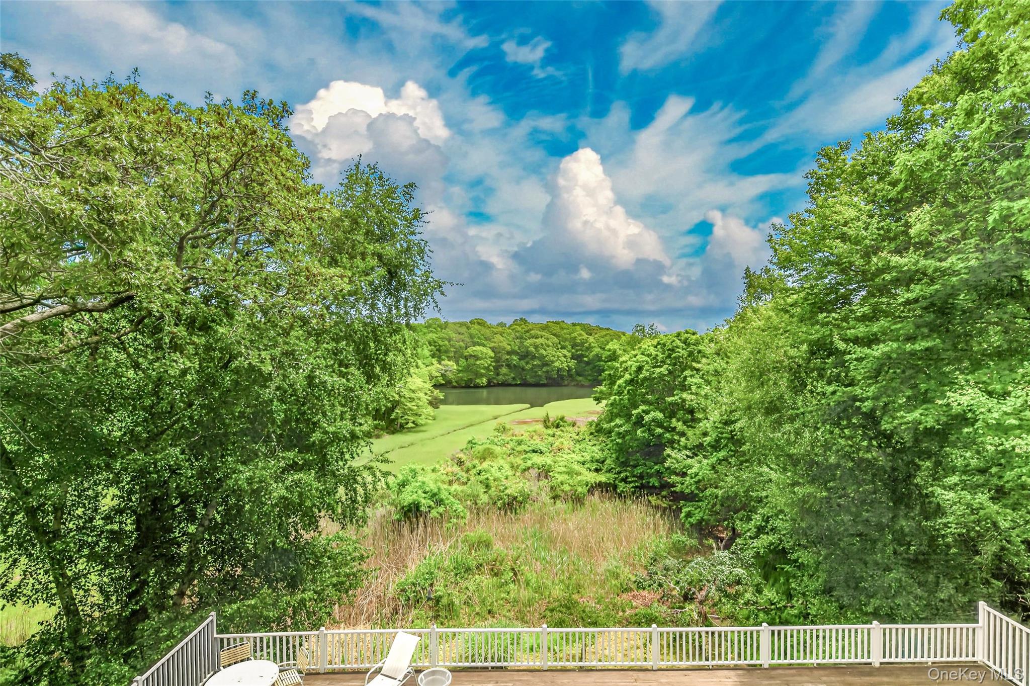 4 Irene Lane – For Sale photo 37