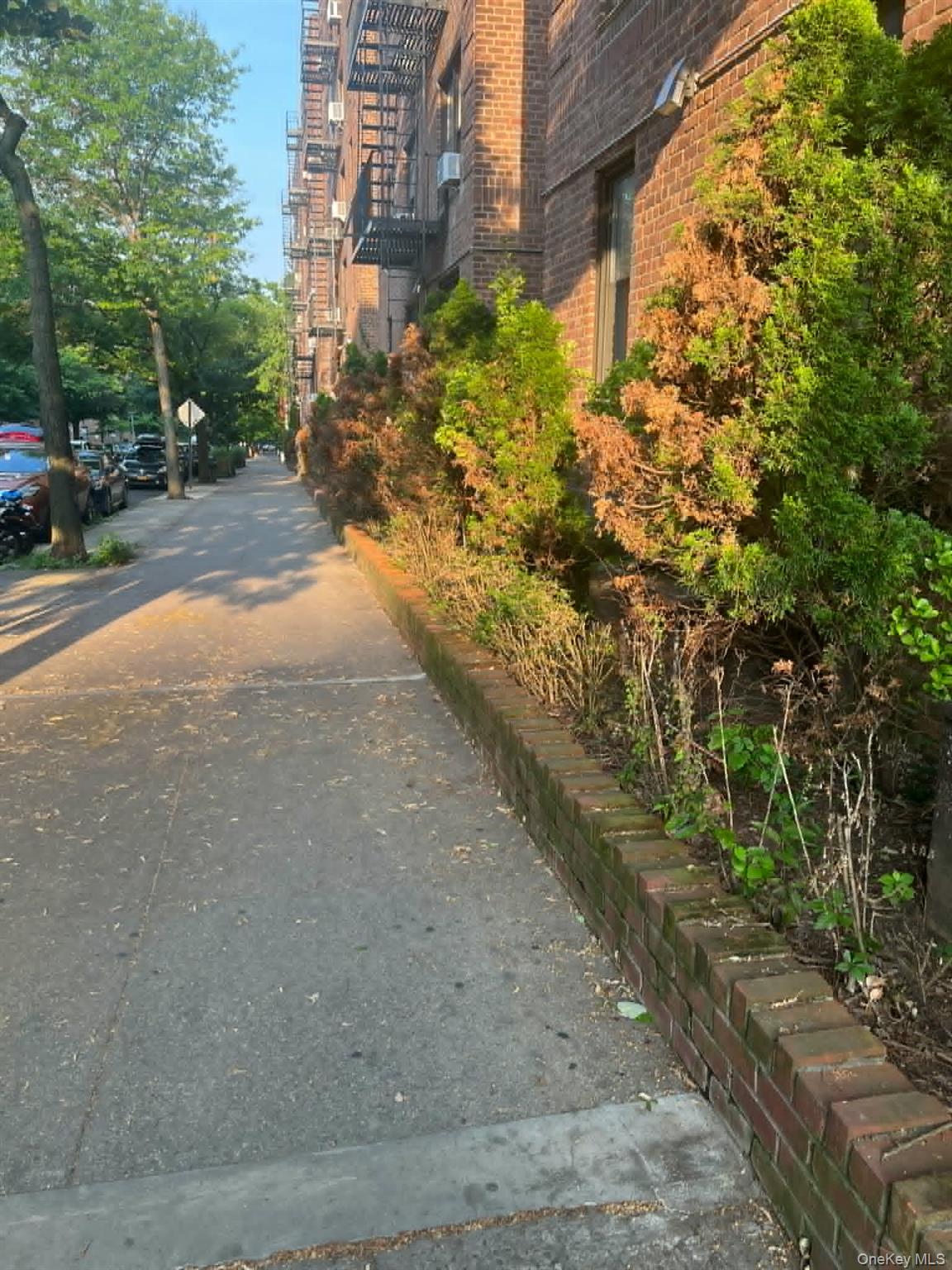 83-75 Woodhaven Boulevard – For Rent photo 5