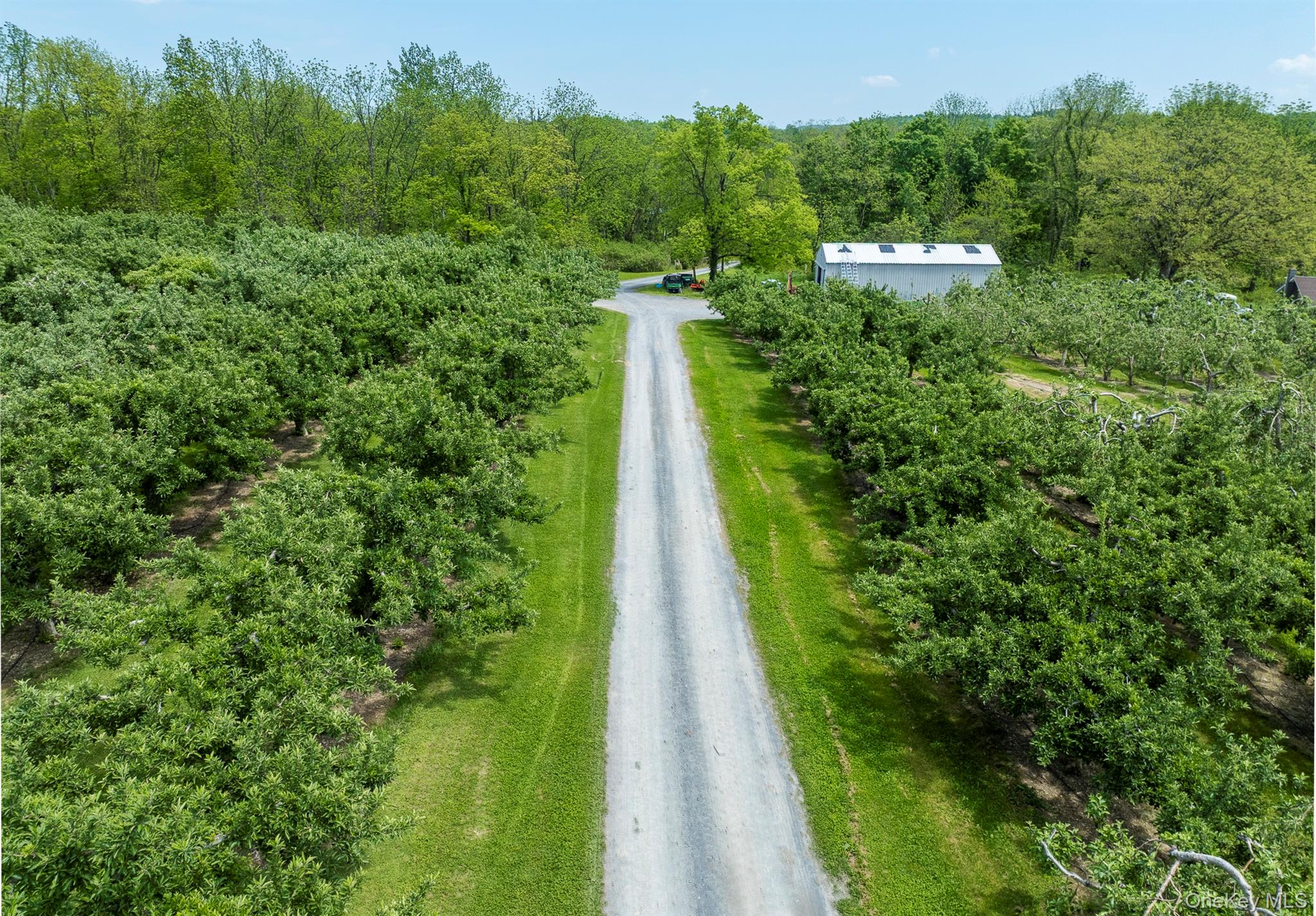 641 North Avenue – For Sale photo 8