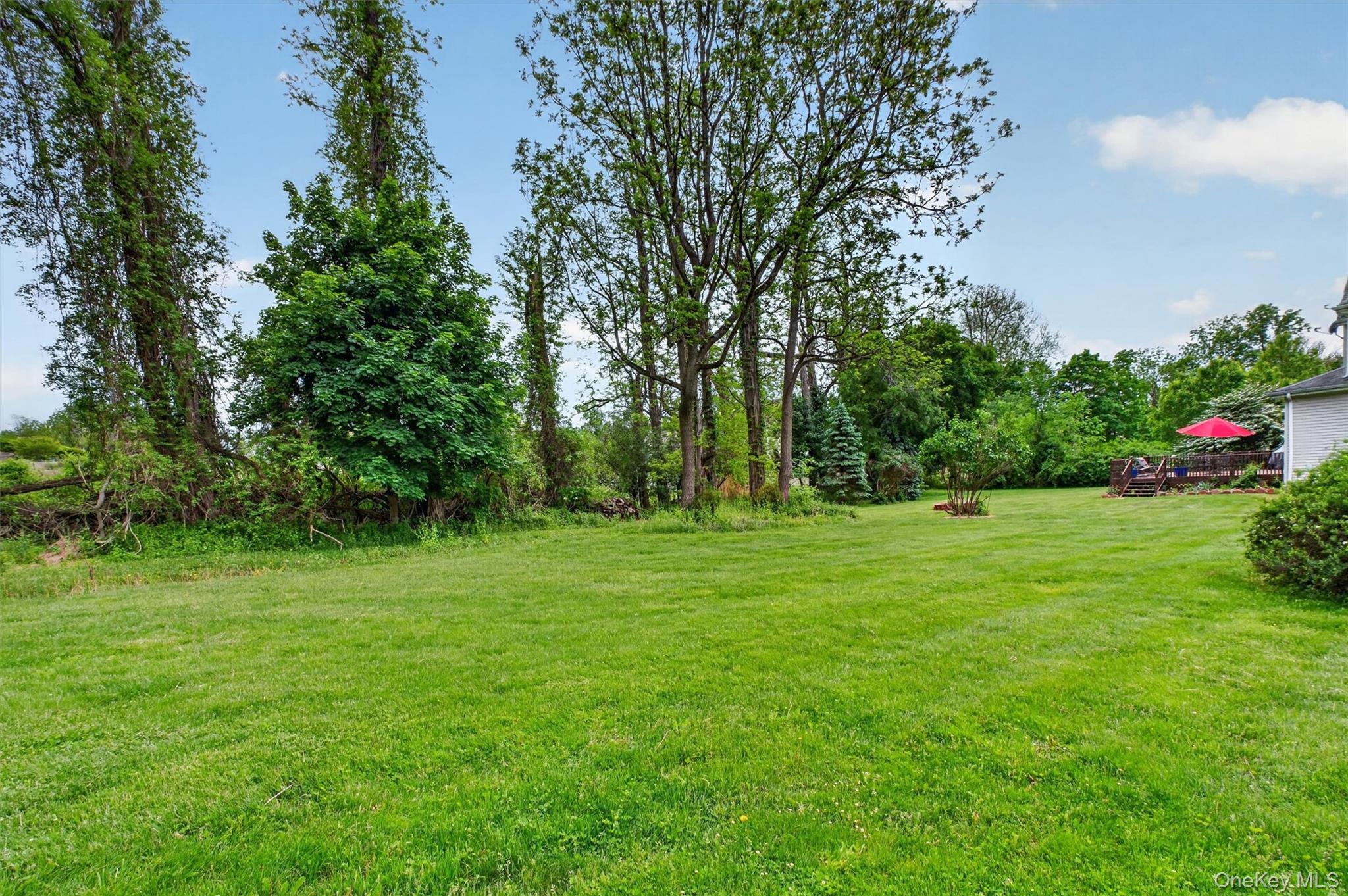 12 Loosestrife Drive – For Sale photo 44