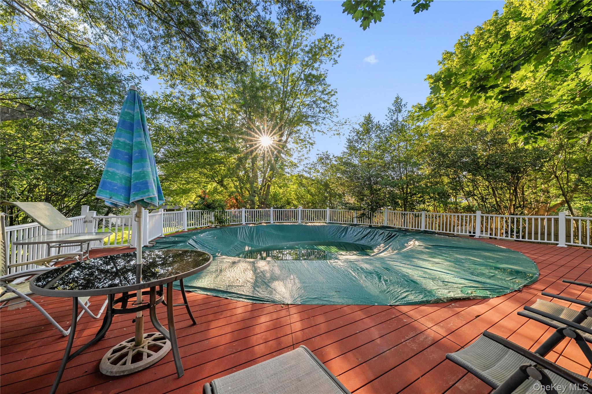 53 Jarvin Road – For Sale photo 44