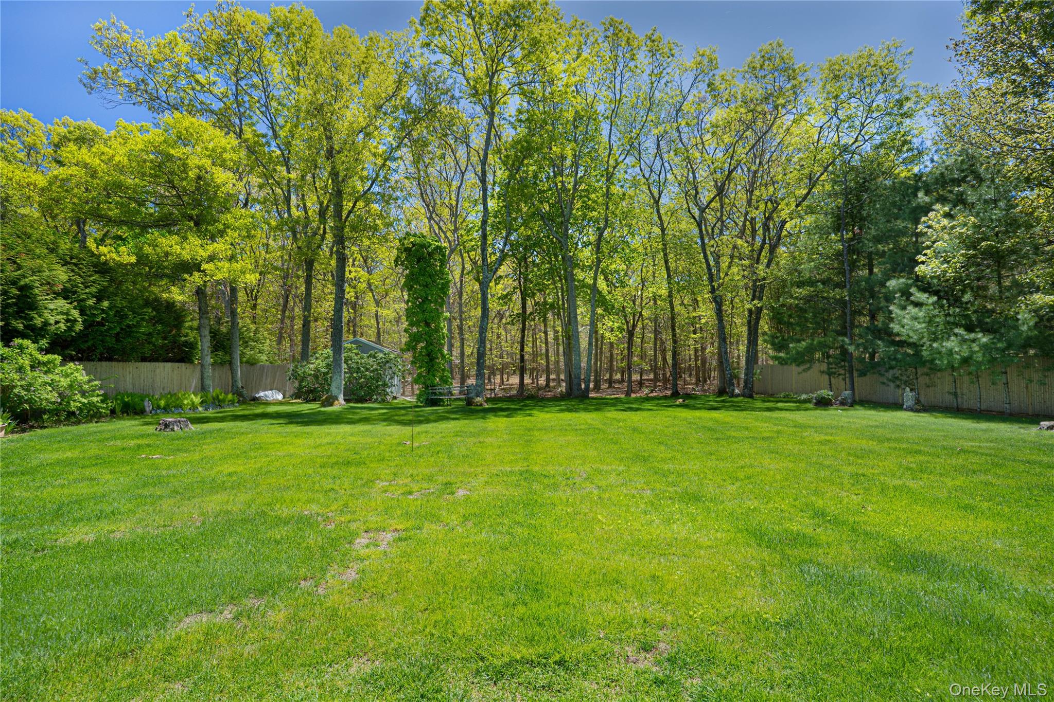 50 Runnymeade Drive – For Sale photo 29