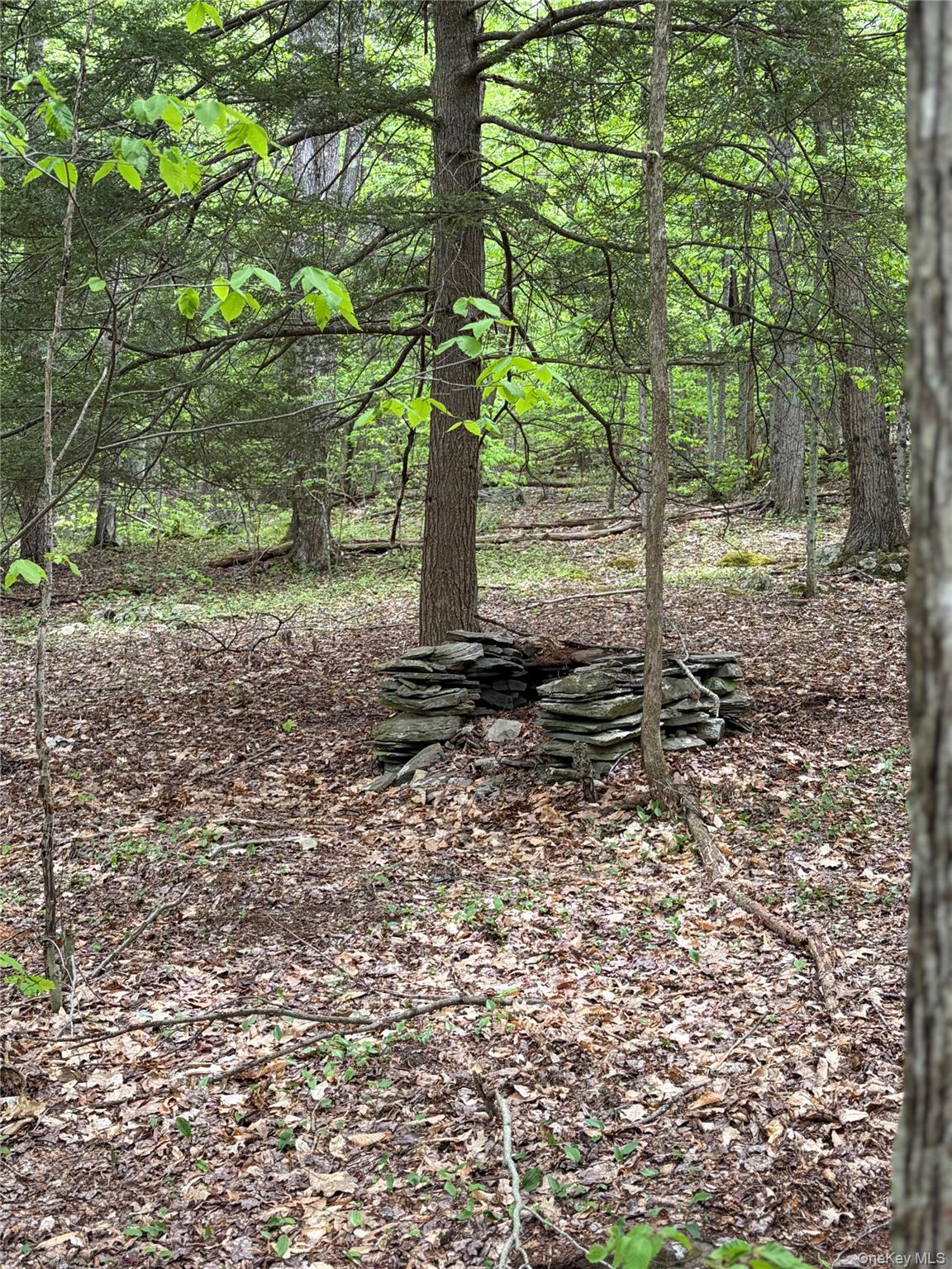 4912 County Highway 26 – For Sale photo 11