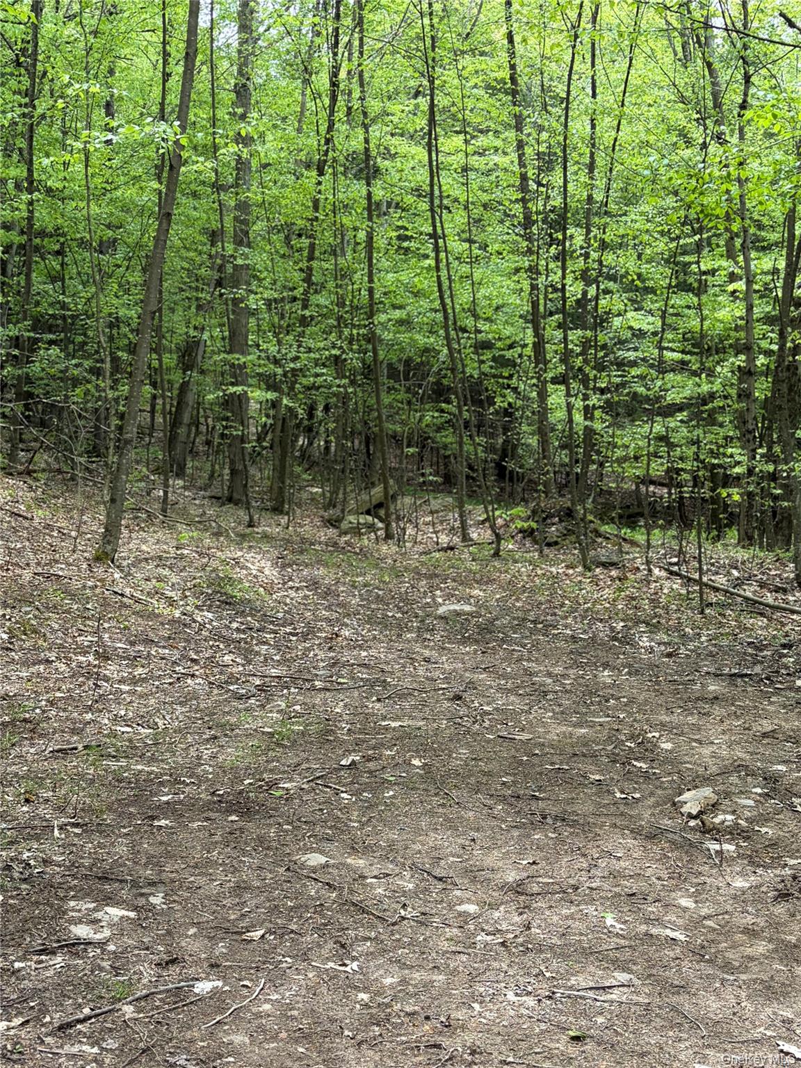 4912 County Highway 26 – For Sale photo 12