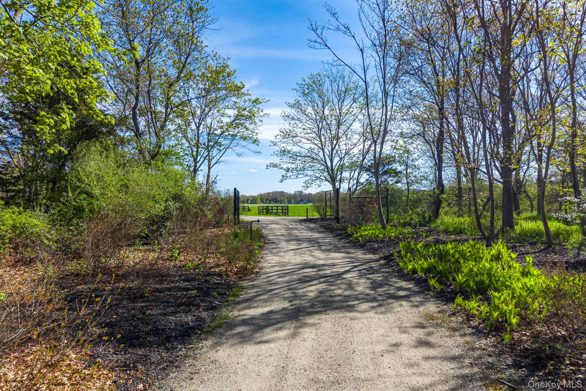 3123 & 3595 Skunk Lane – For Sale