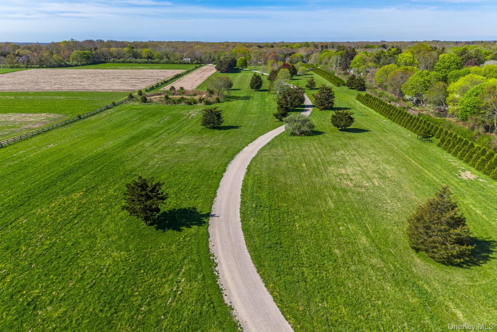 3123 & 3595 Skunk Lane – For Sale photo 6