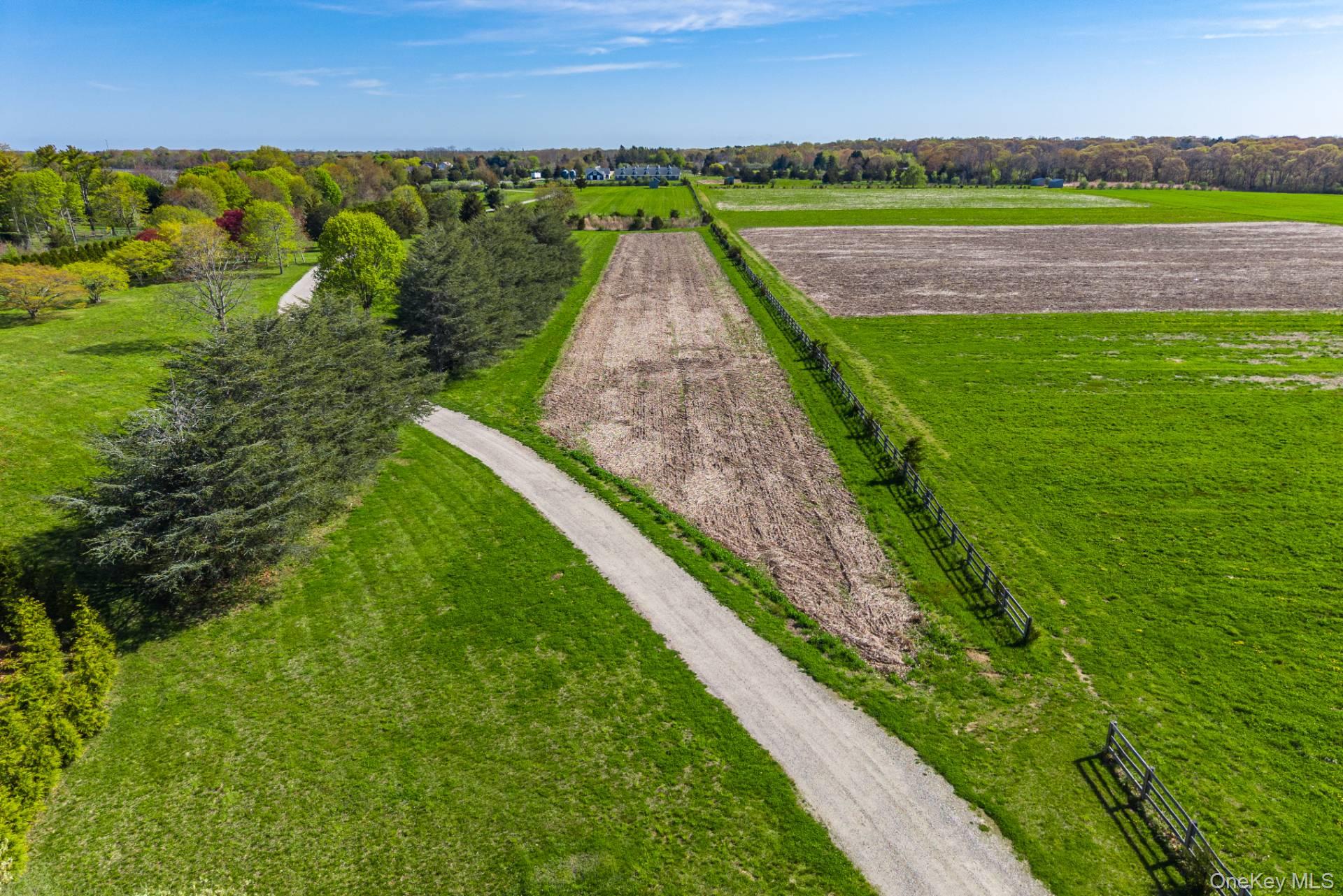 3123 & 3595 Skunk Lane – For Sale photo 9