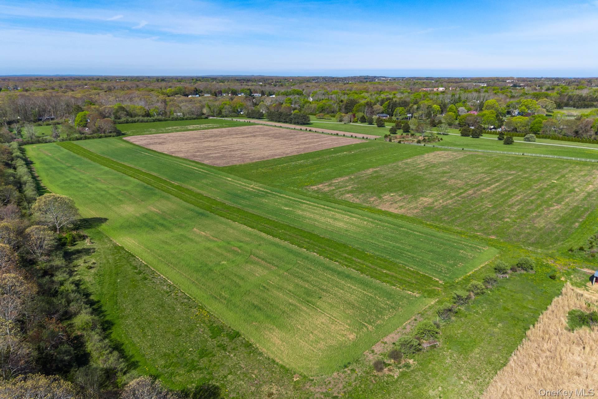 3123 & 3595 Skunk Lane – For Sale photo 14