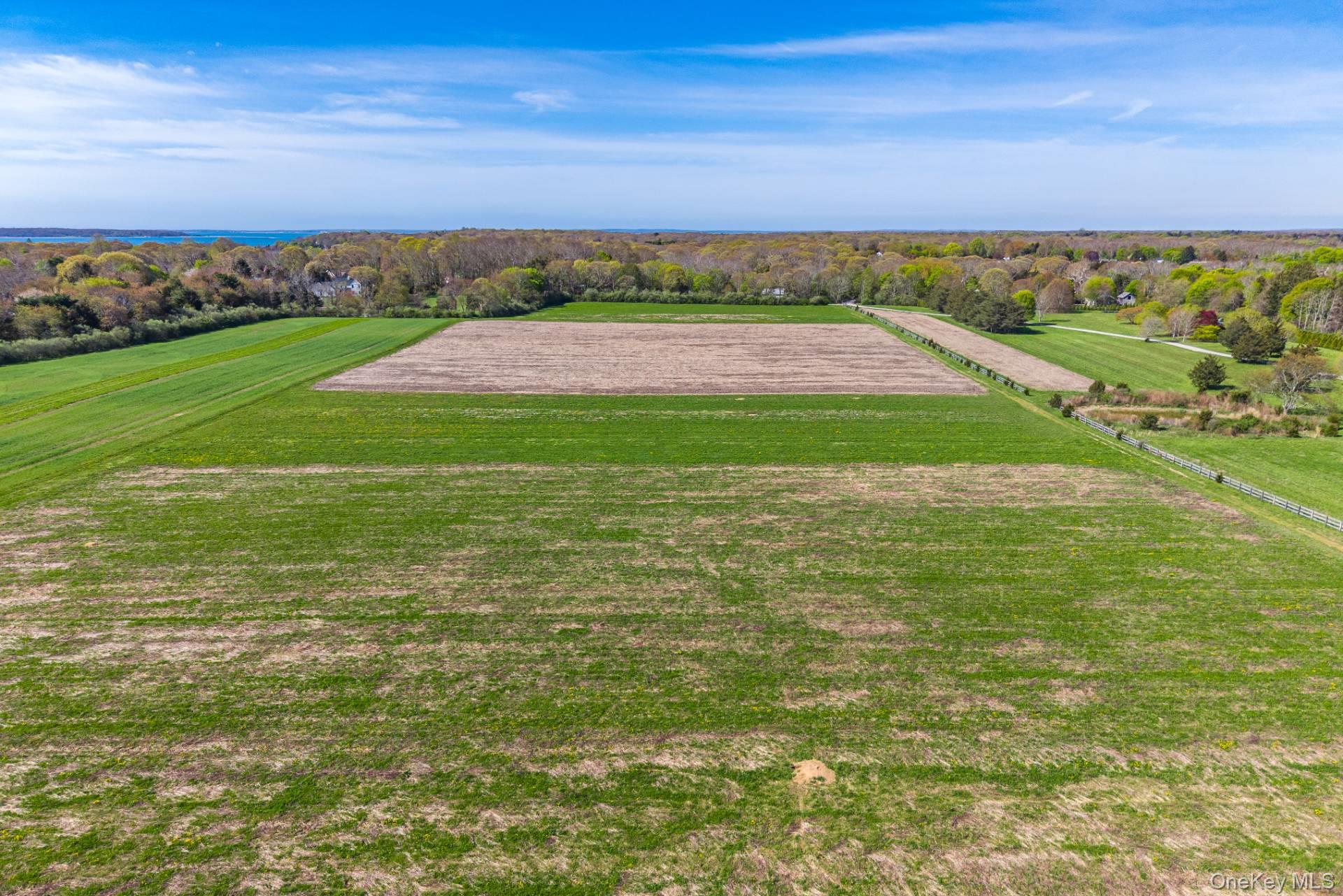 3123 & 3595 Skunk Lane – For Sale photo 13