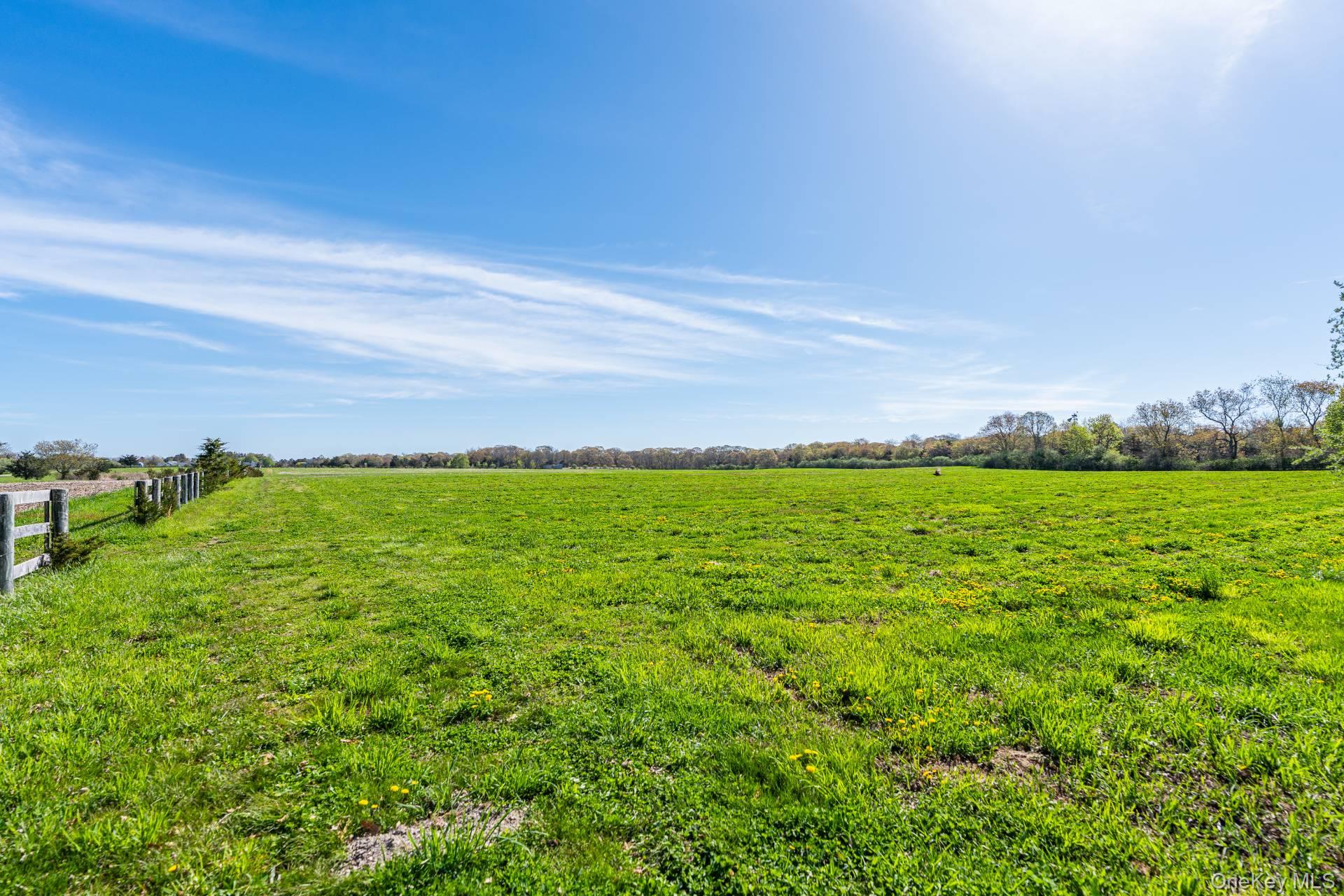 3123 & 3595 Skunk Lane – For Sale photo 16