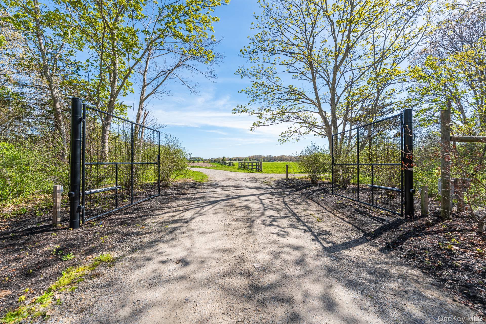 3123 & 3595 Skunk Lane – For Sale photo 2