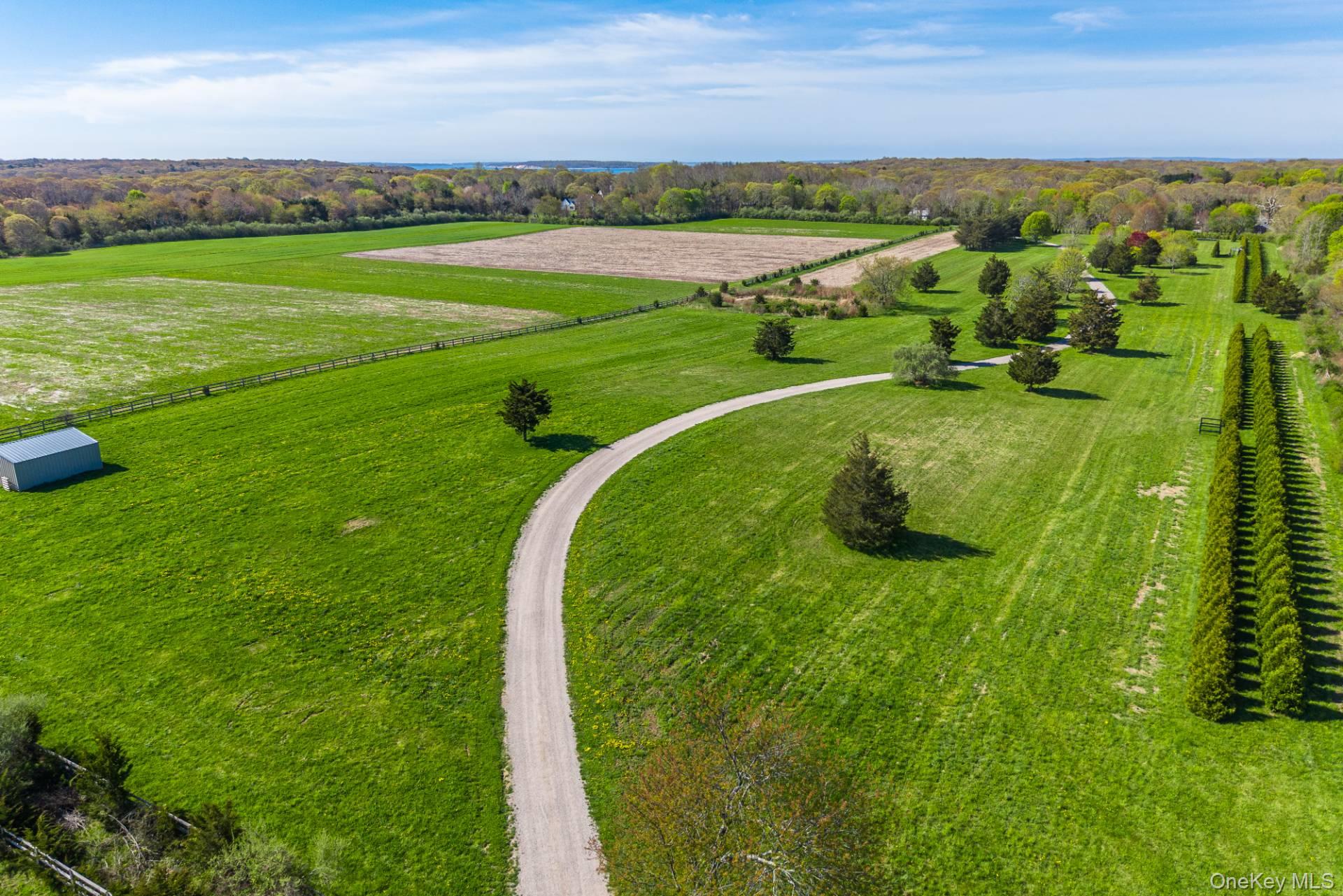 3123 & 3595 Skunk Lane – For Sale photo 7