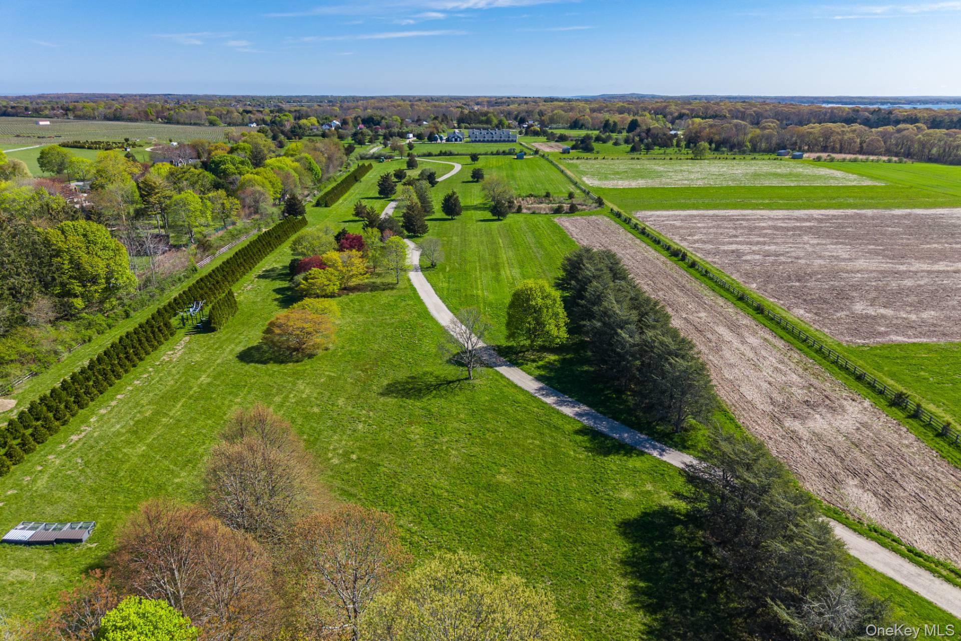 3123 & 3595 Skunk Lane – For Sale photo 8