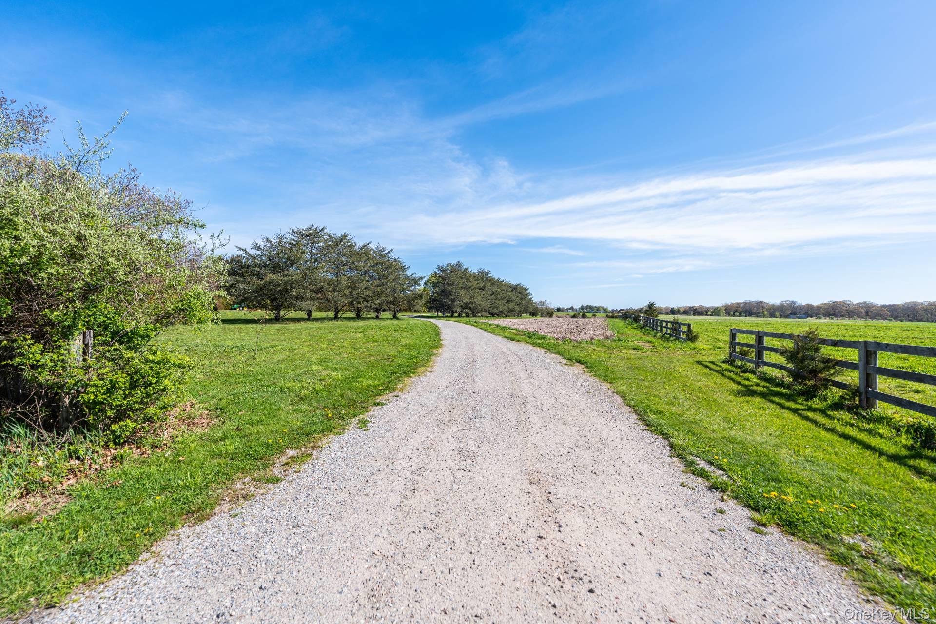 3123 & 3595 Skunk Lane – For Sale photo 4